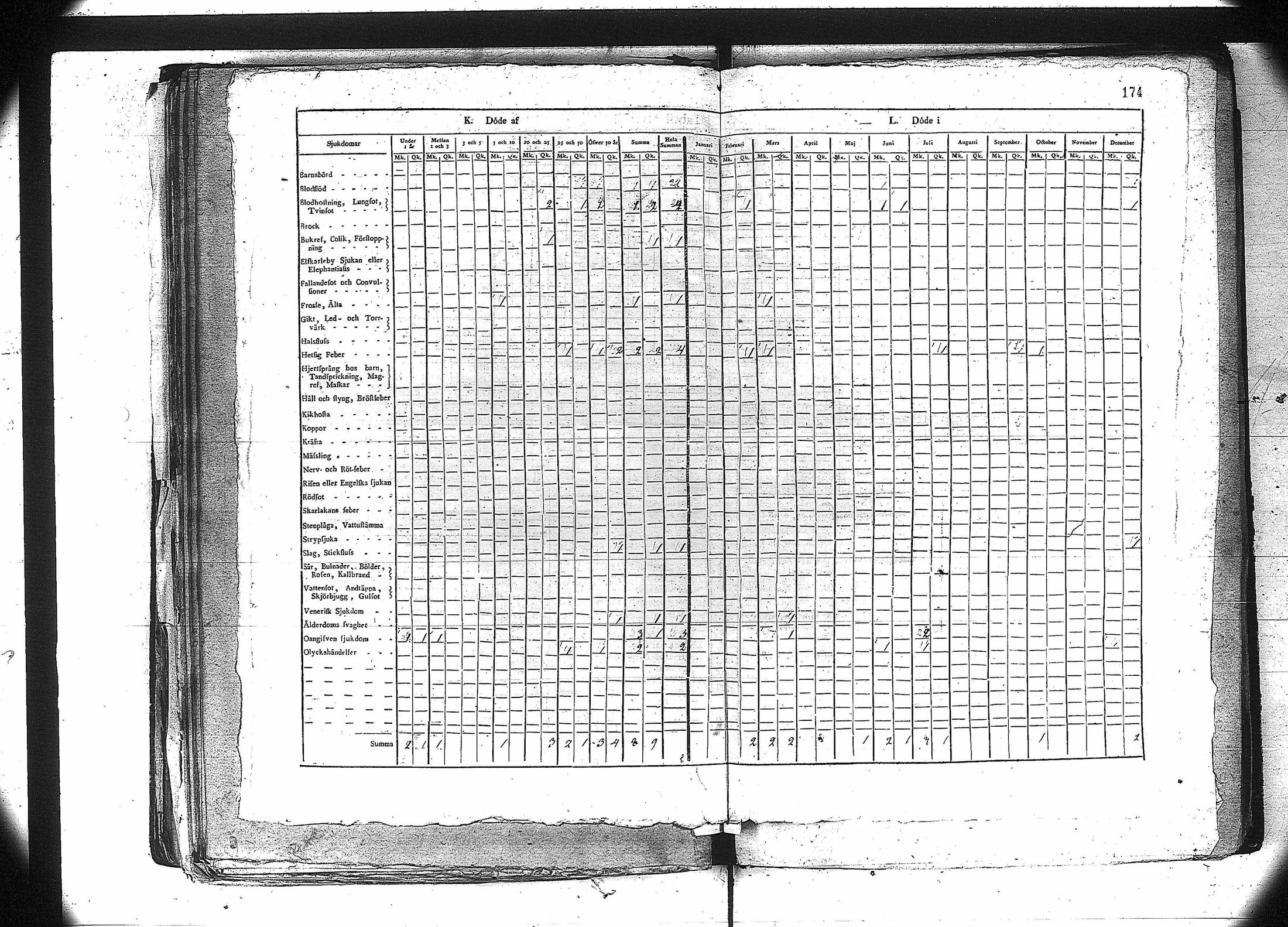 [ kuvat/186.jpg ]