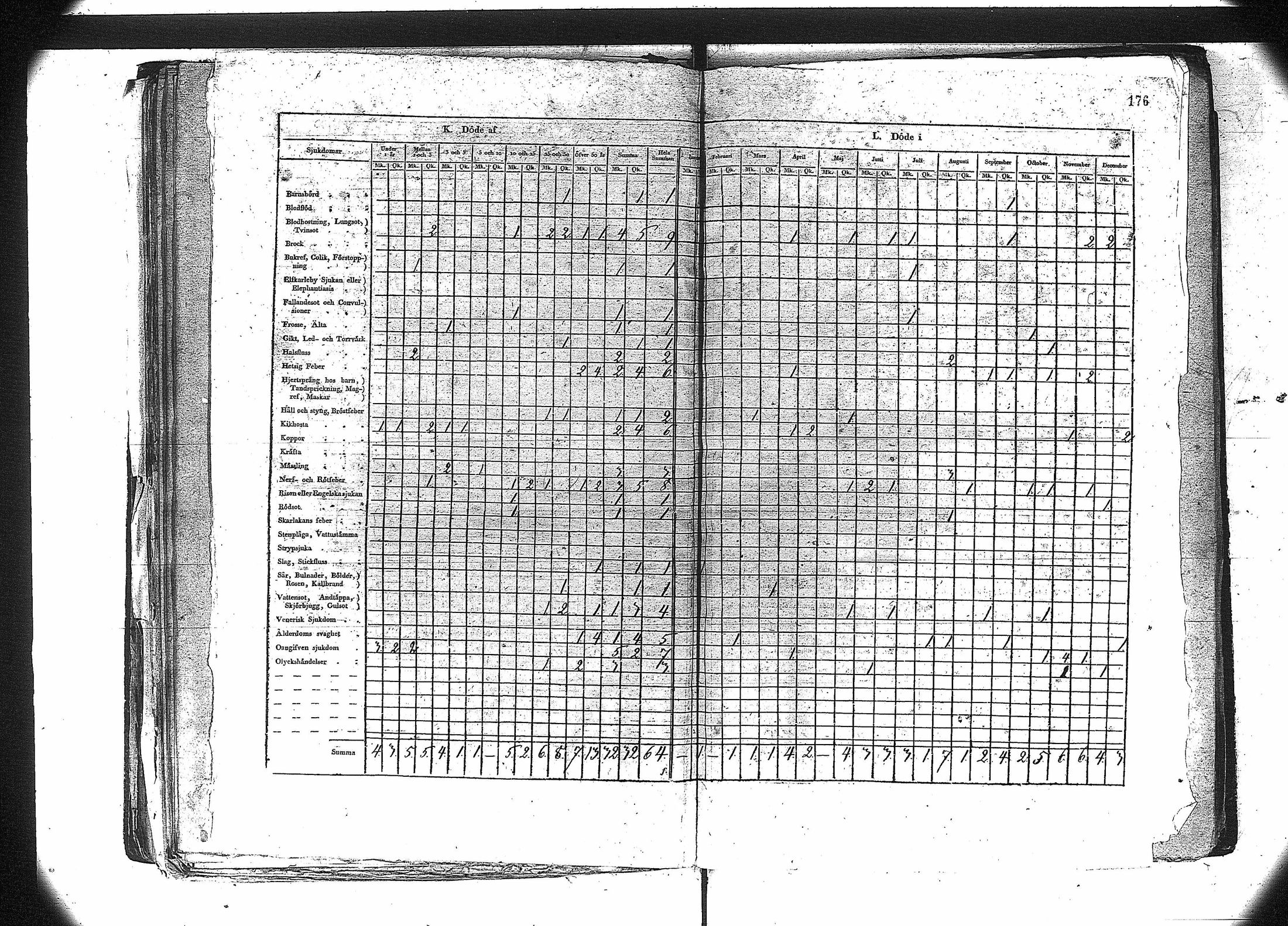 [ kuvat/188.jpg ]