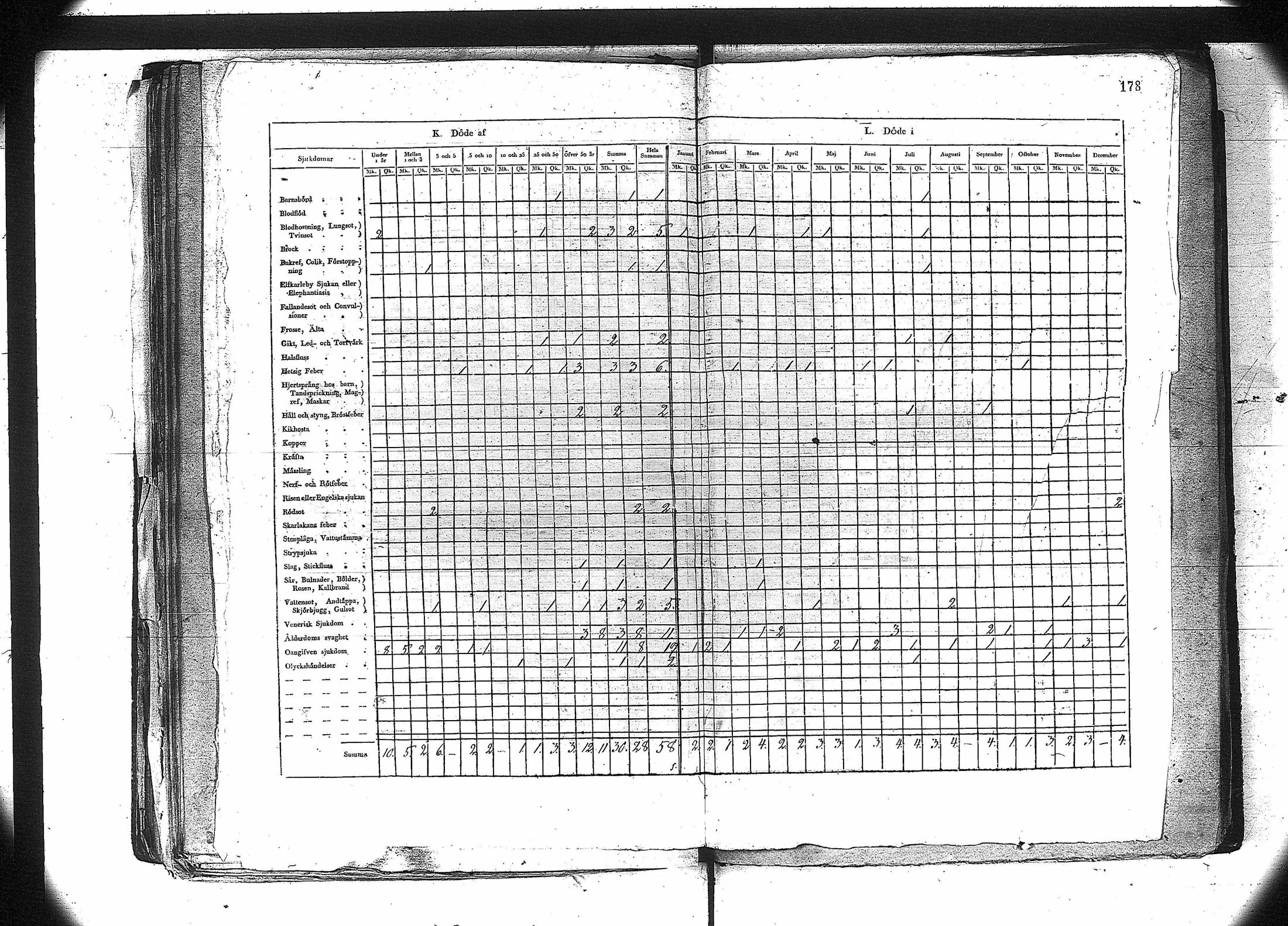 [ kuvat/190.jpg ]