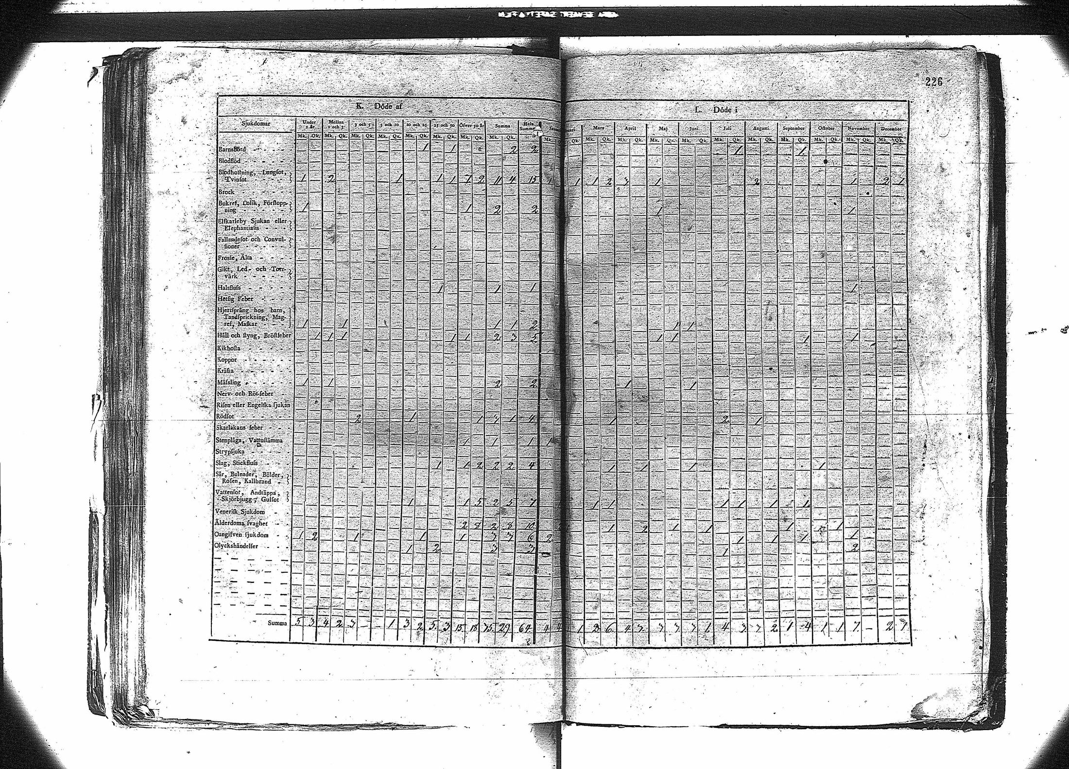 [ kuvat/238.jpg ]