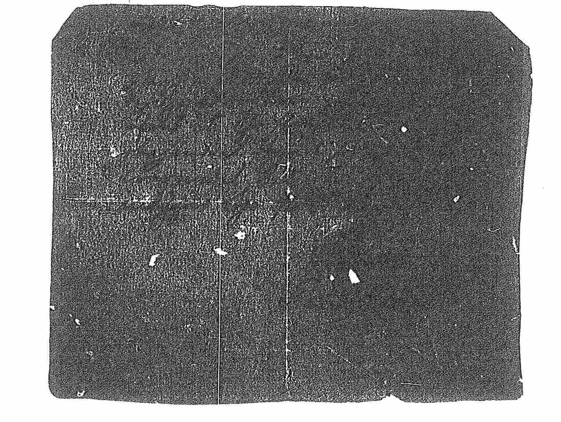 [ kuvat/521.jpg ]
