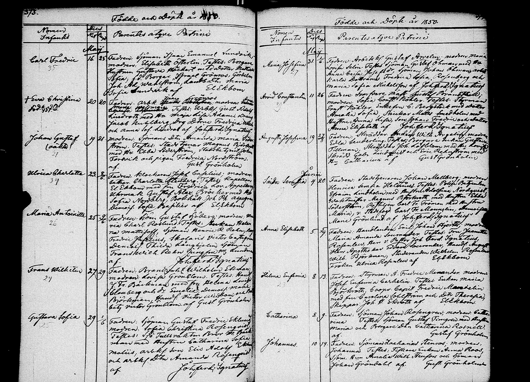 [ kuvat/195.jpg ]