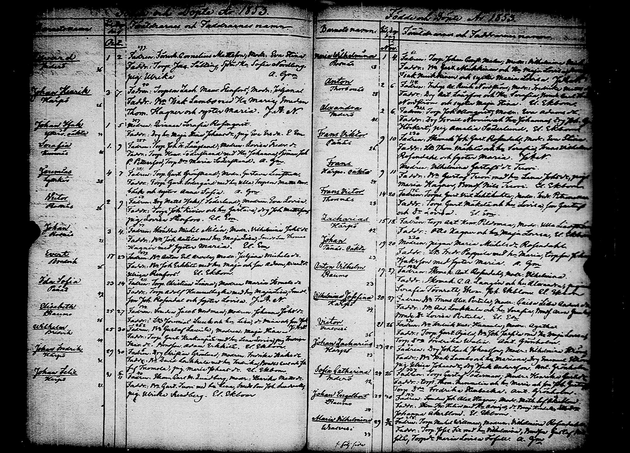 [ kuvat/163.jpg ]