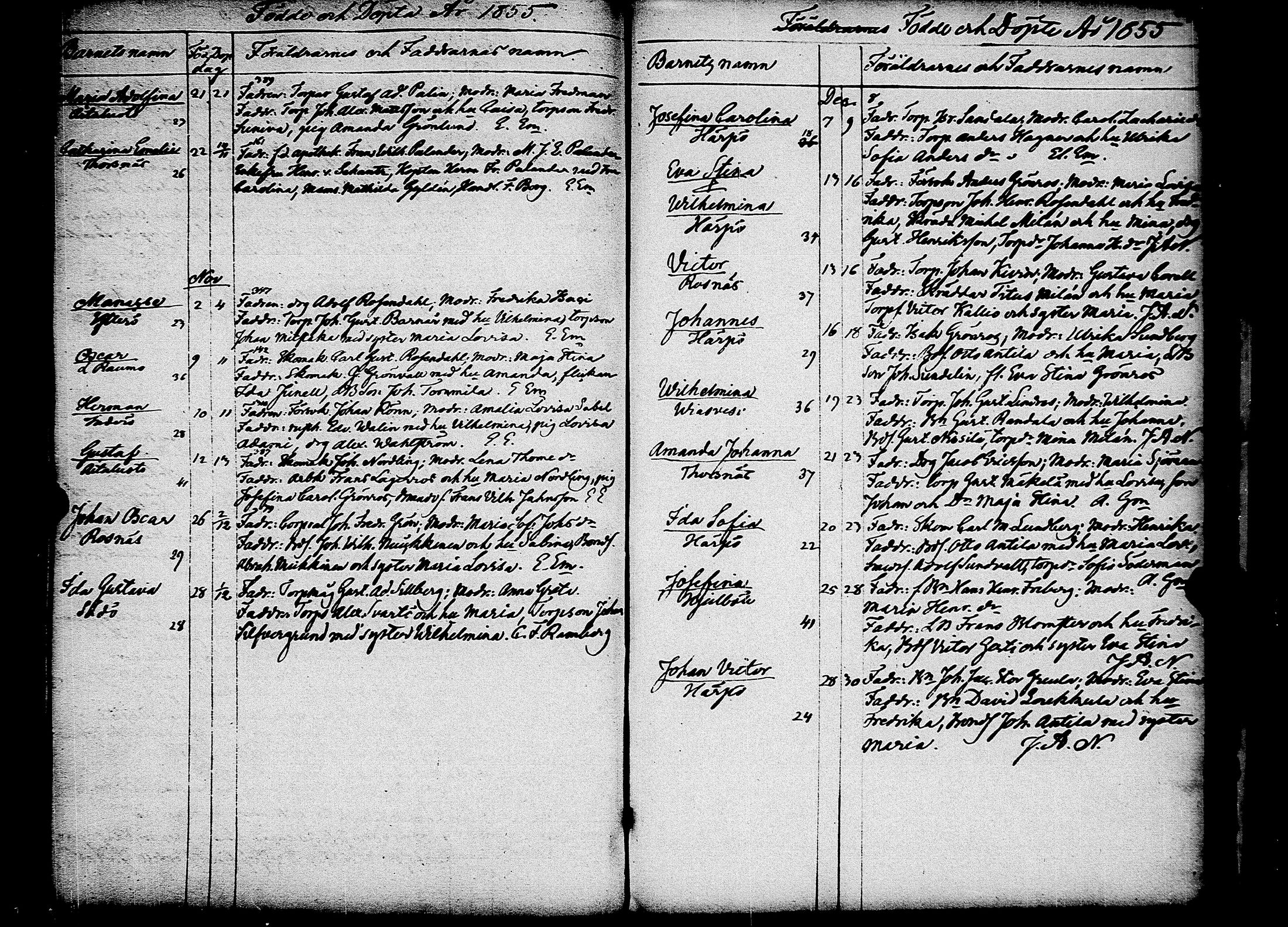 [ kuvat/175.jpg ]