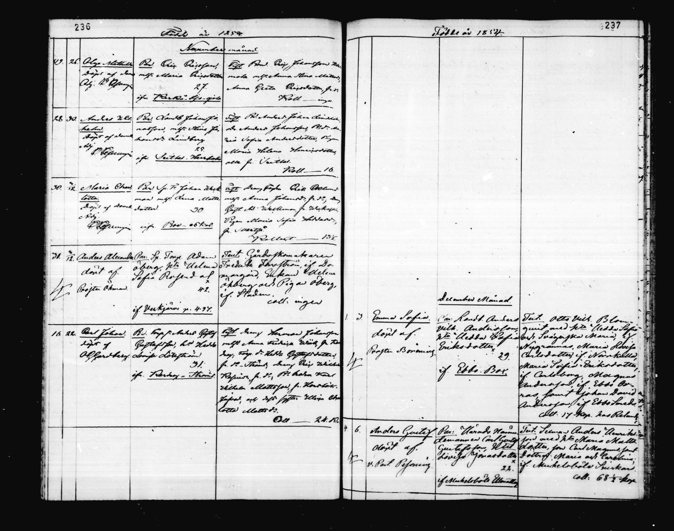 [ kuvat/117.jpg ]