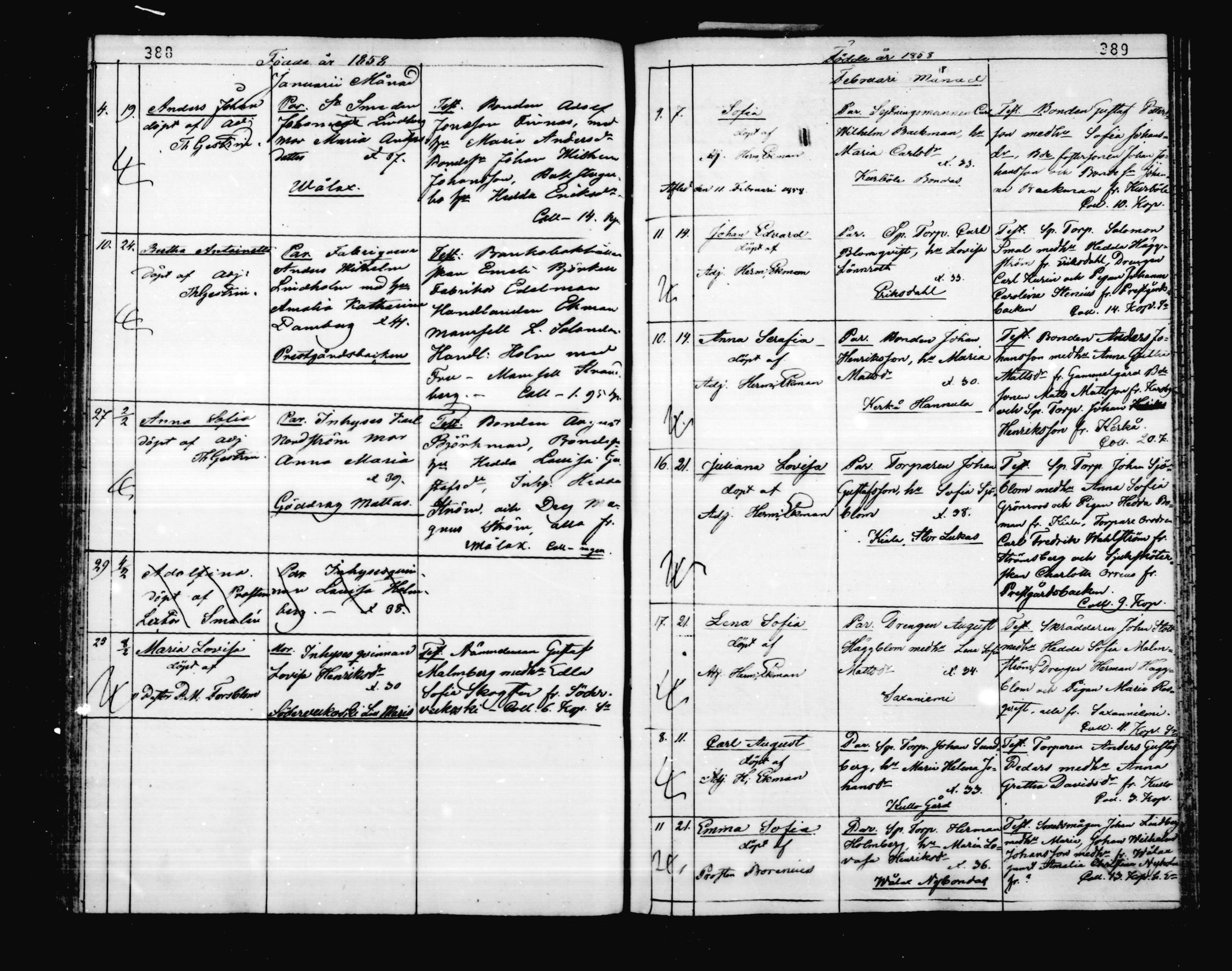 [ kuvat/193.jpg ]