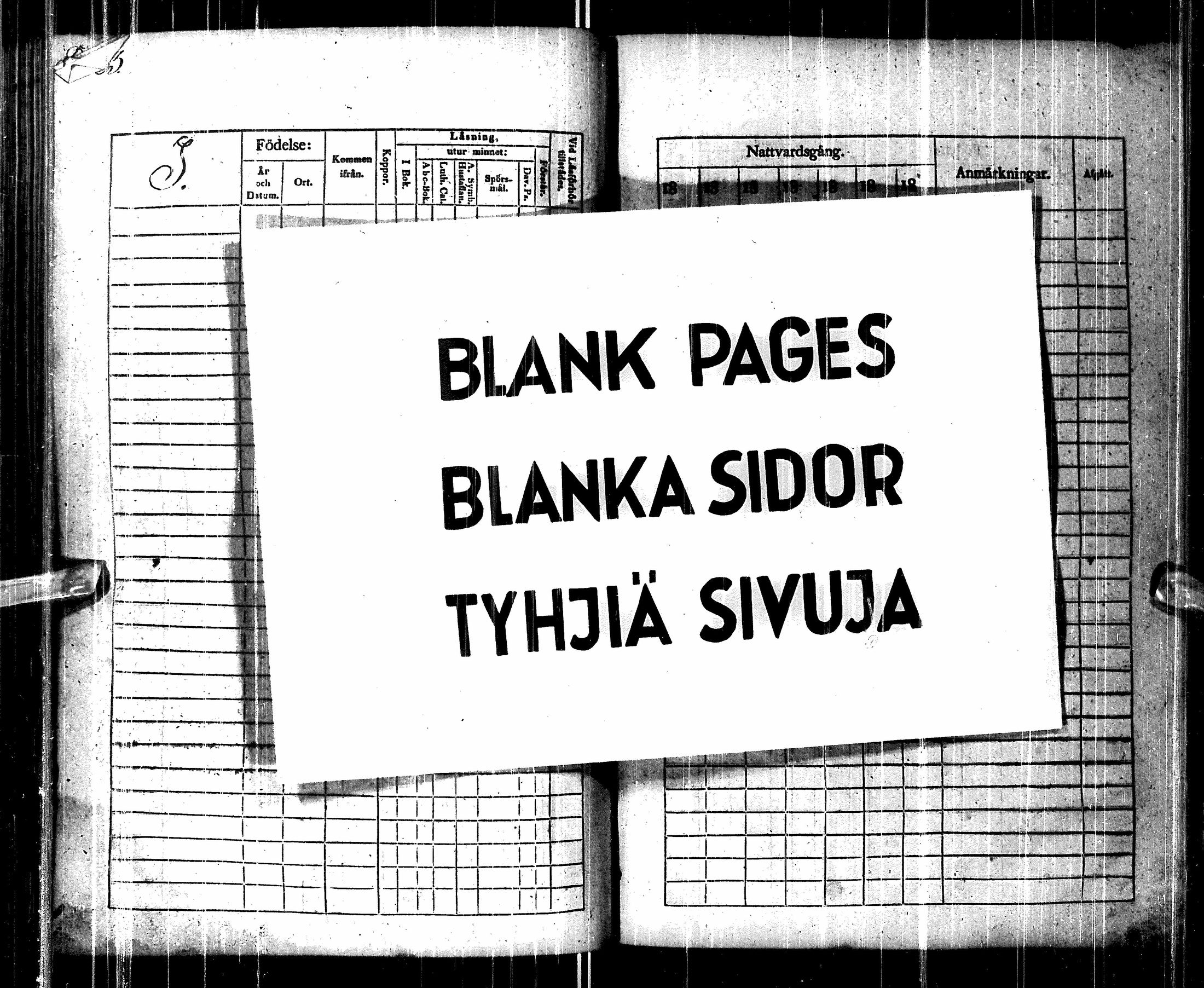 [ kuvat/278.jpg ]