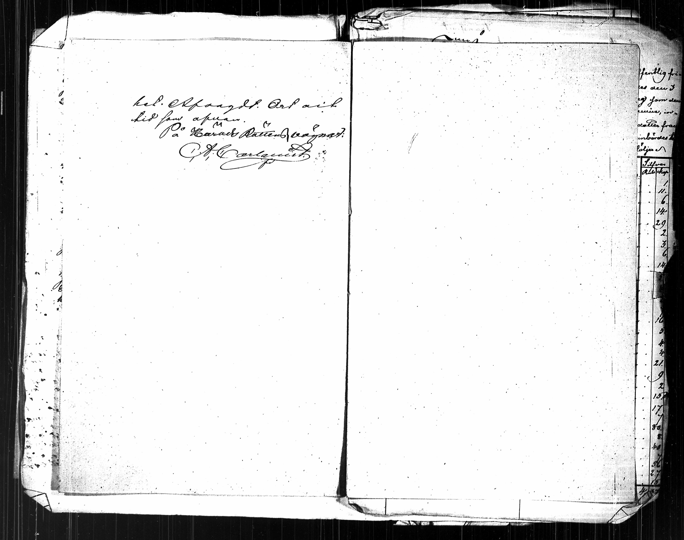 [ kuvat/488.jpg ]