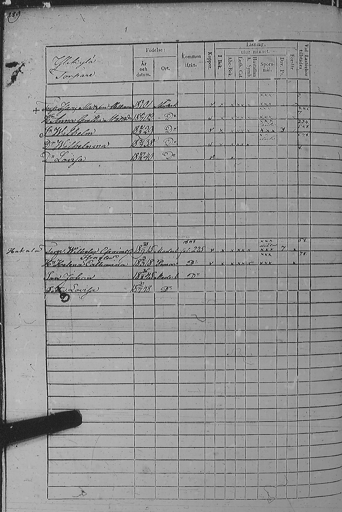 [ kuvat/461.jpg ]