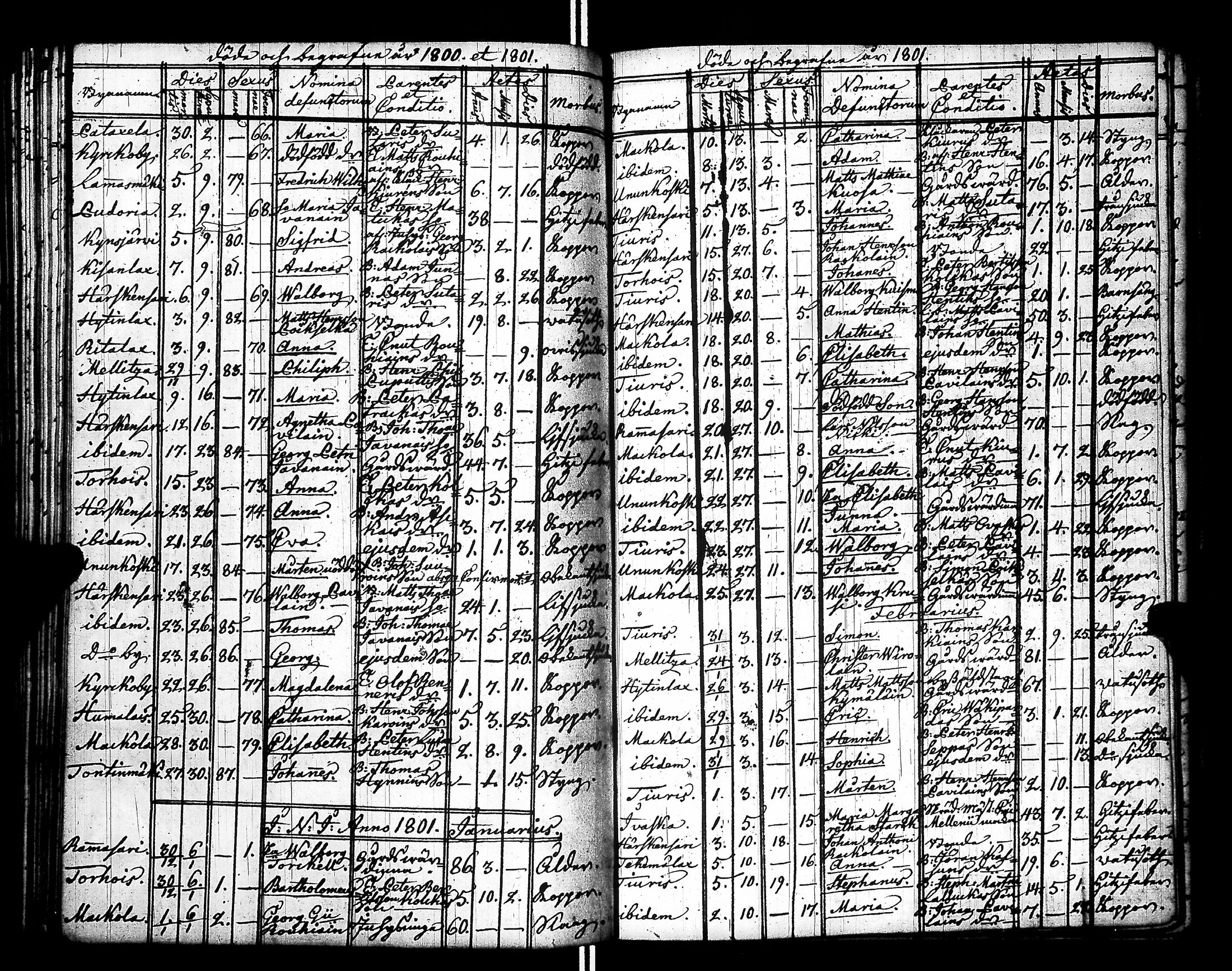[ kuvat/156.jpg ]
