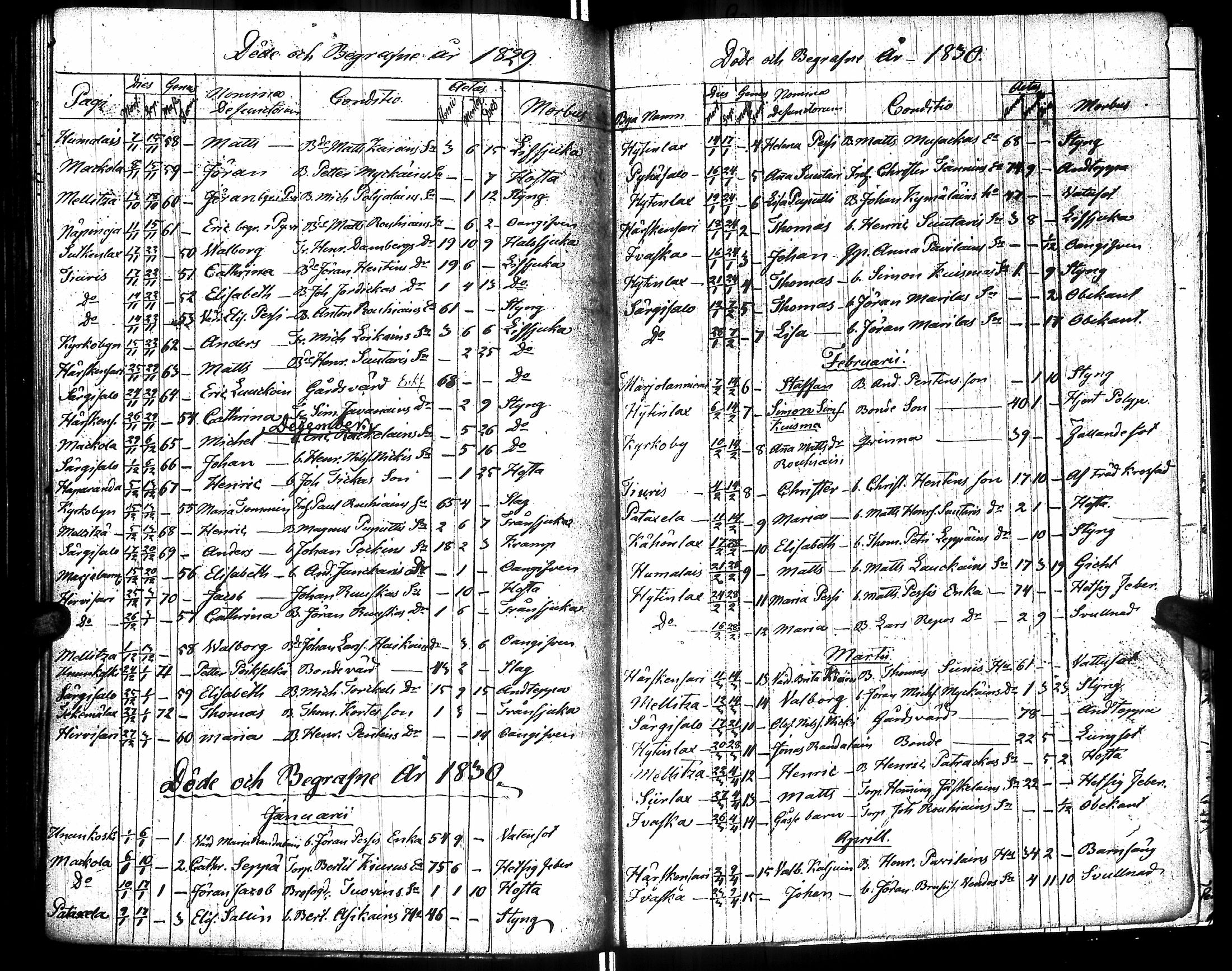 [ kuvat/191.jpg ]