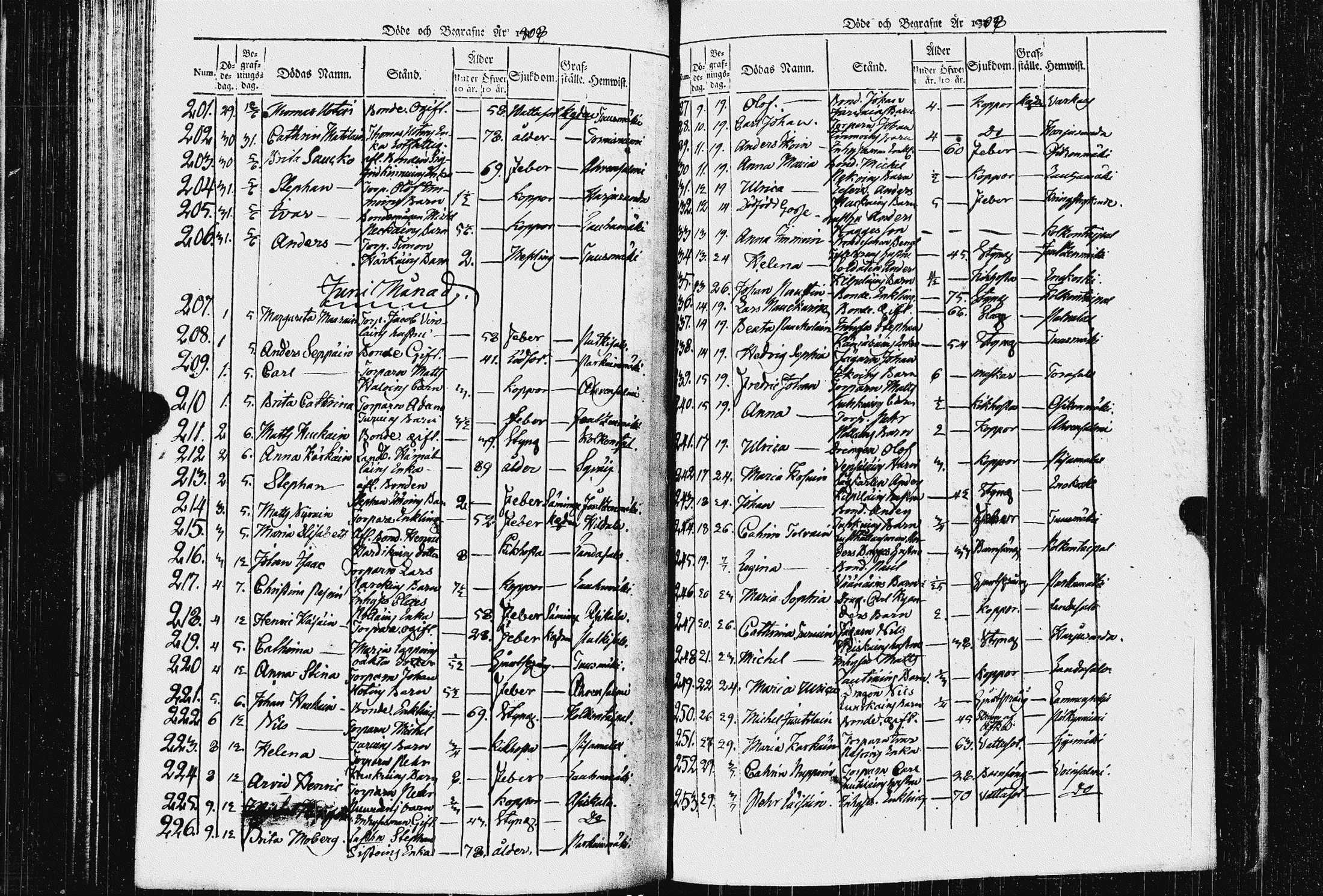 [ kuvat/168.jpg ]