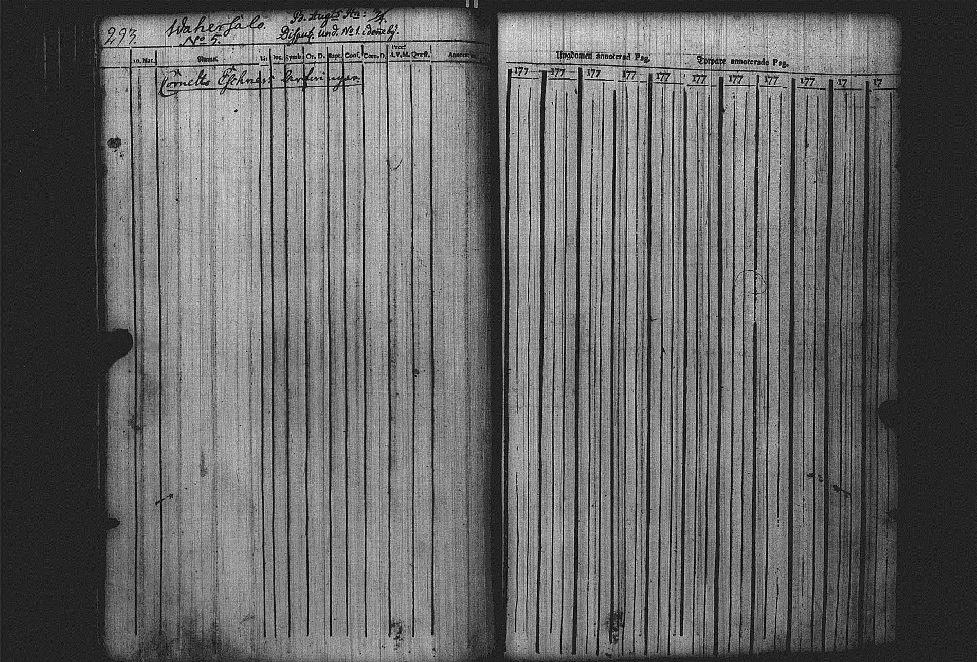 [ kuvat/295.jpg ]