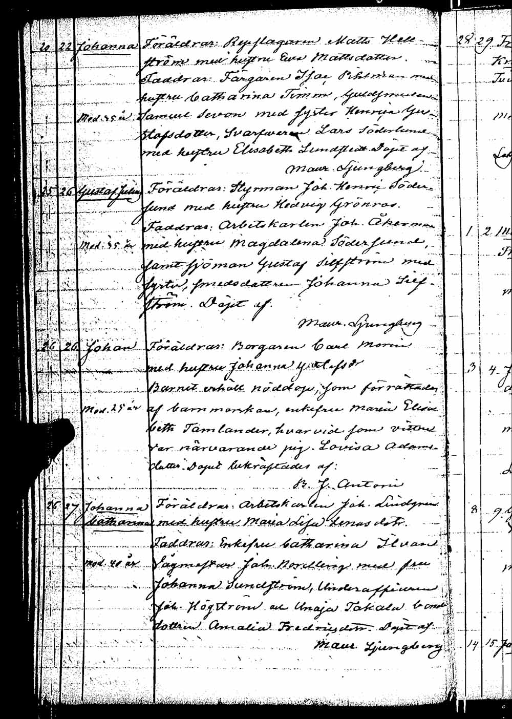 [ kuvat/113.jpg ]