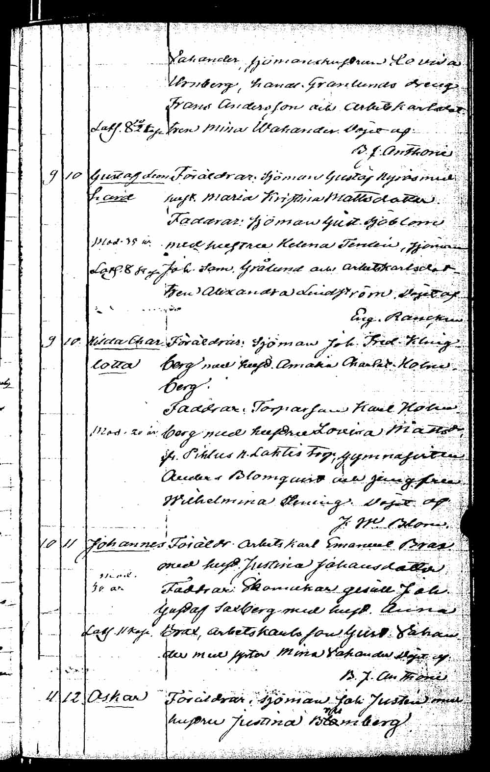 [ kuvat/231.jpg ]