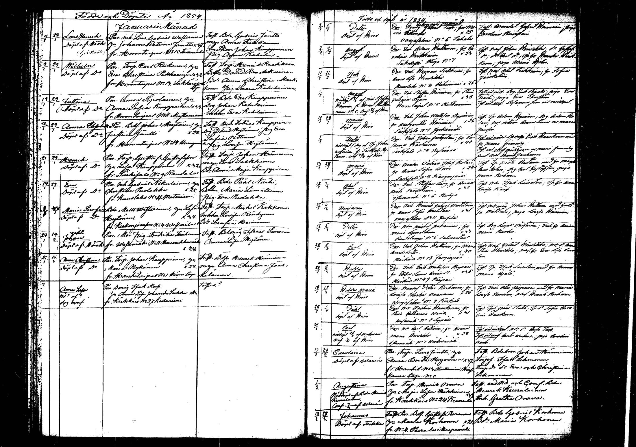 [ kuvat/125.jpg ]