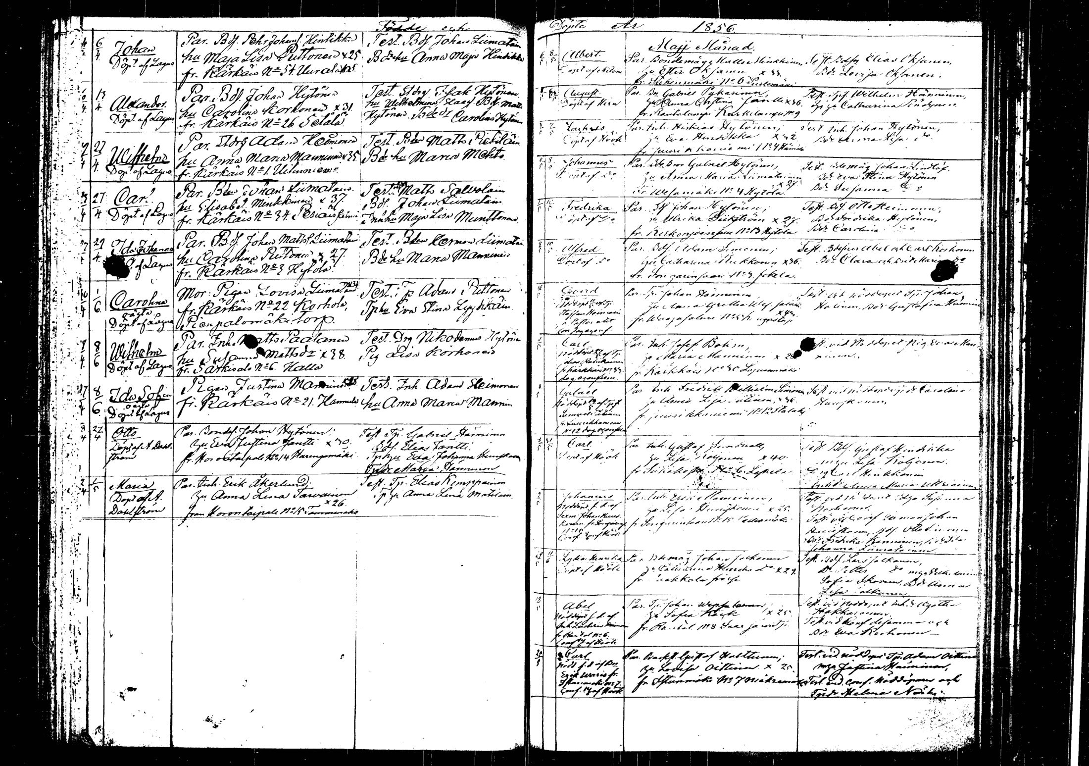 [ kuvat/172.jpg ]