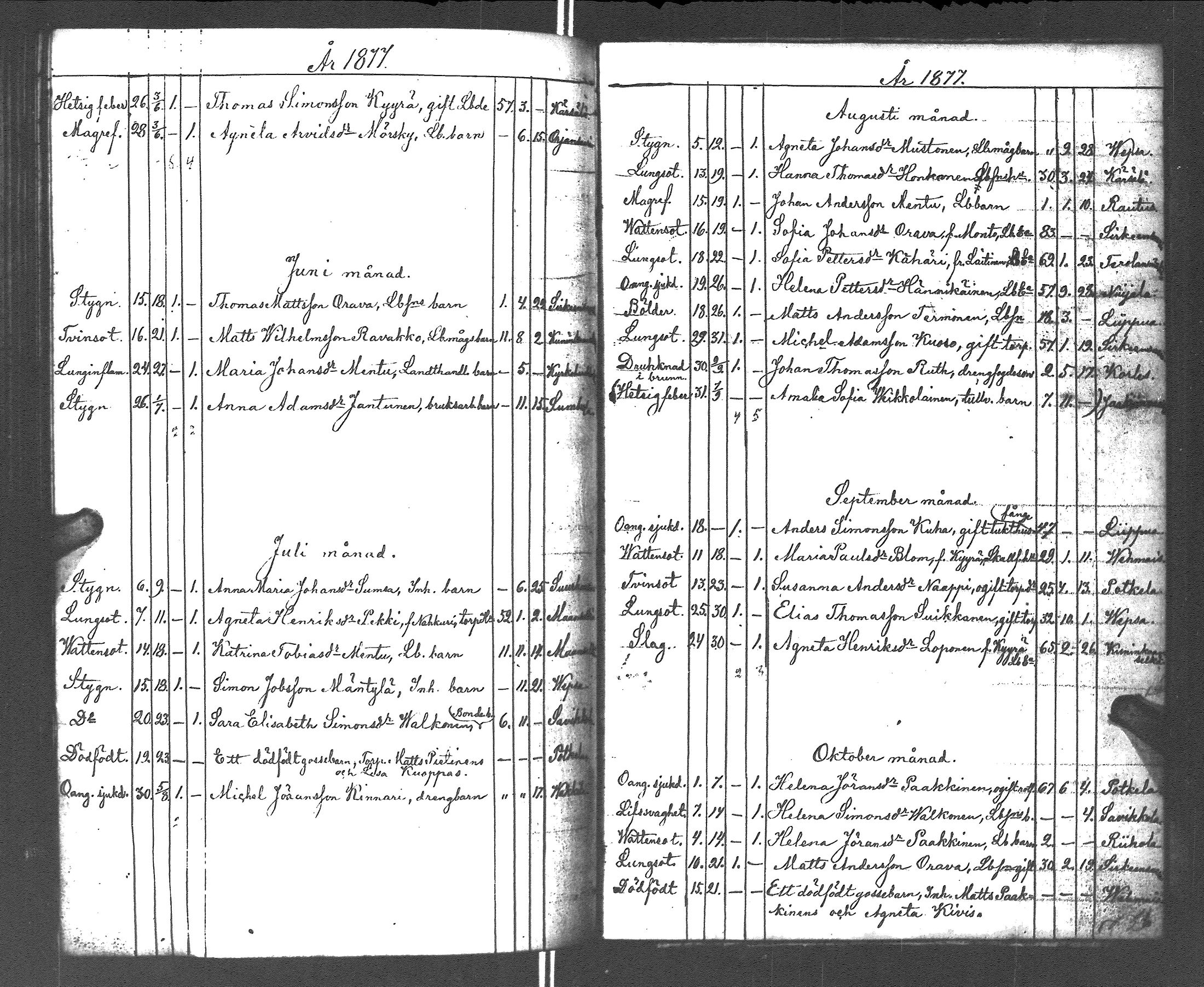 [ kuvat/204.jpg ]