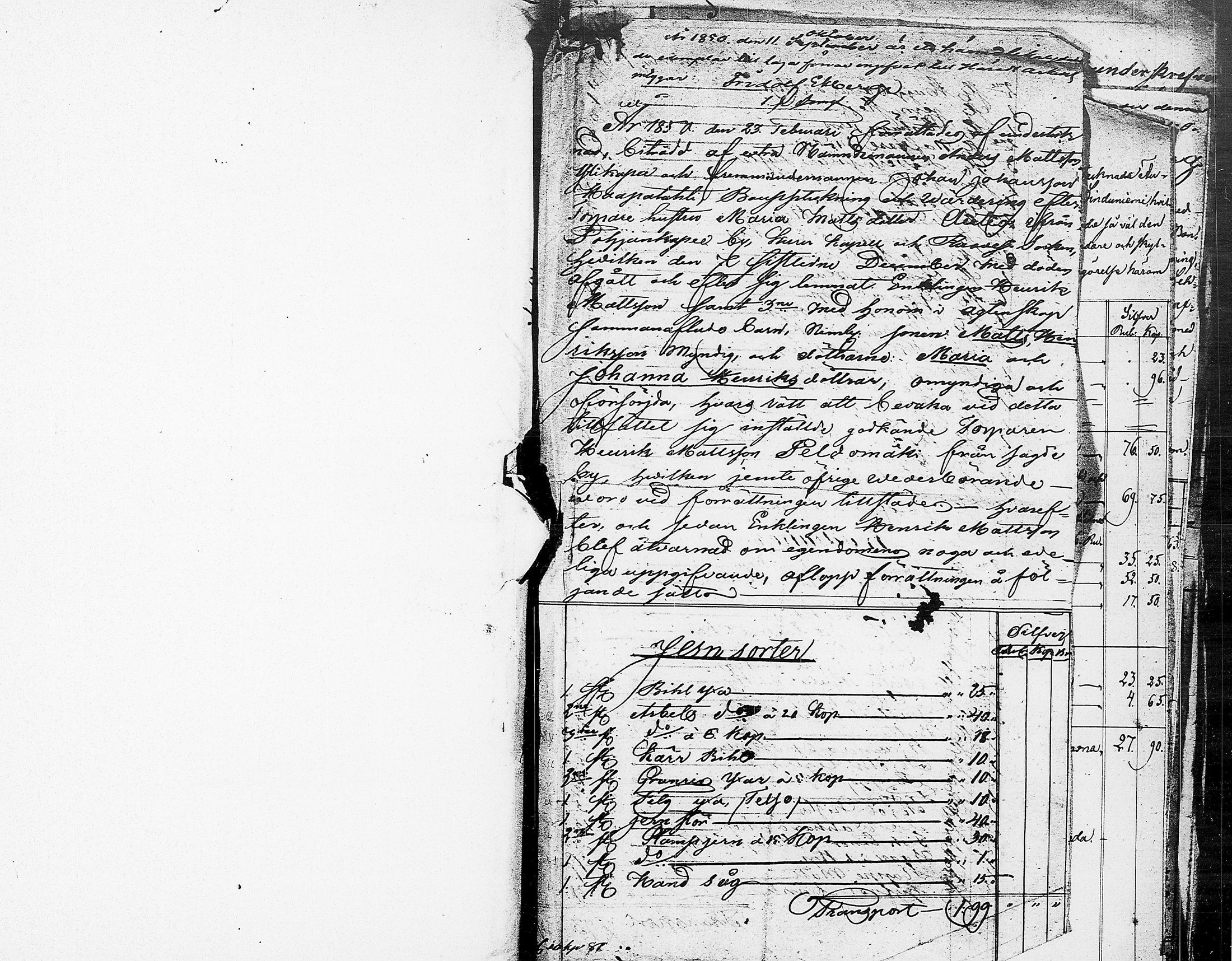 [ kuvat/417.jpg ]
