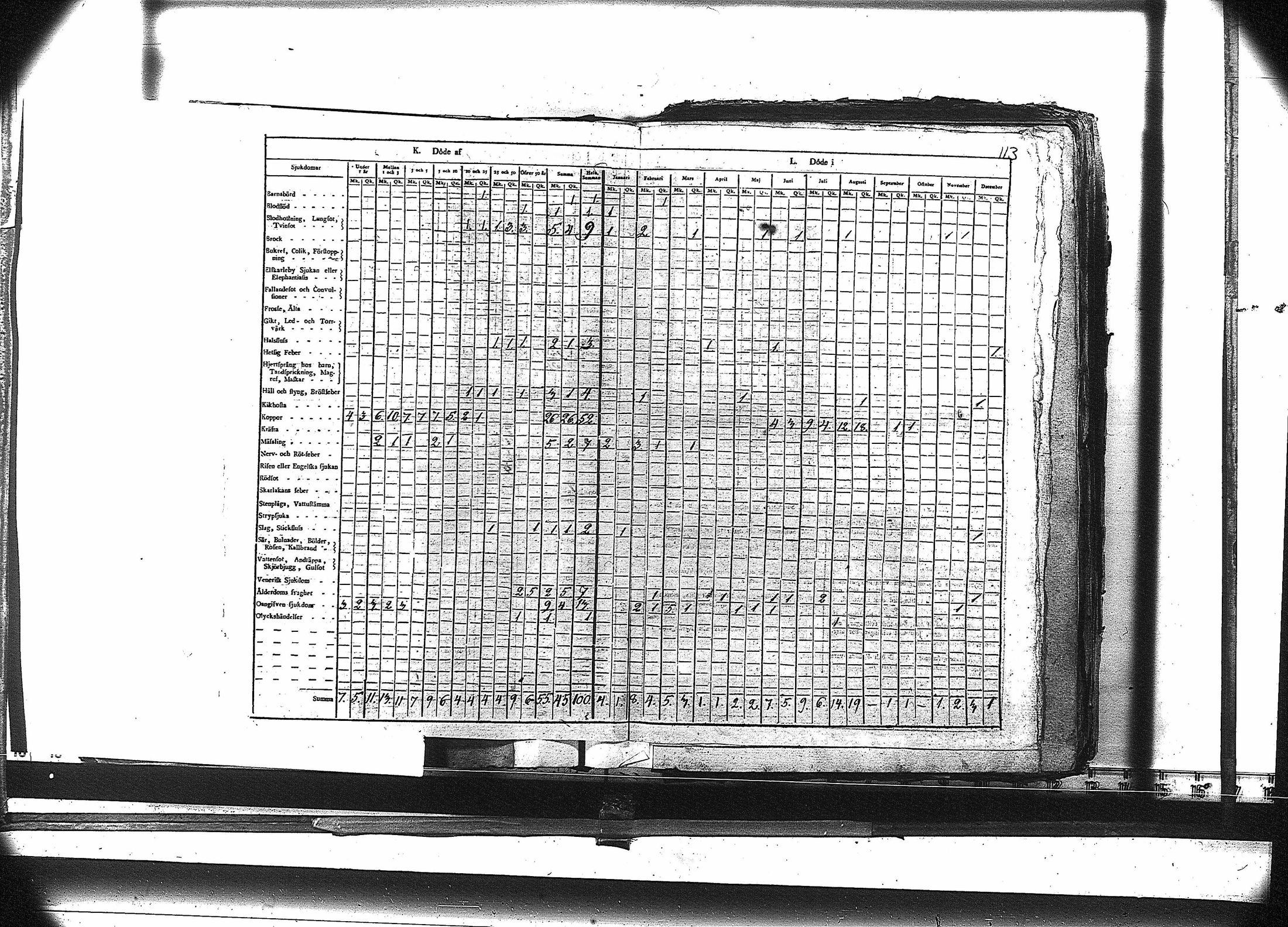 [ kuvat/126.jpg ]