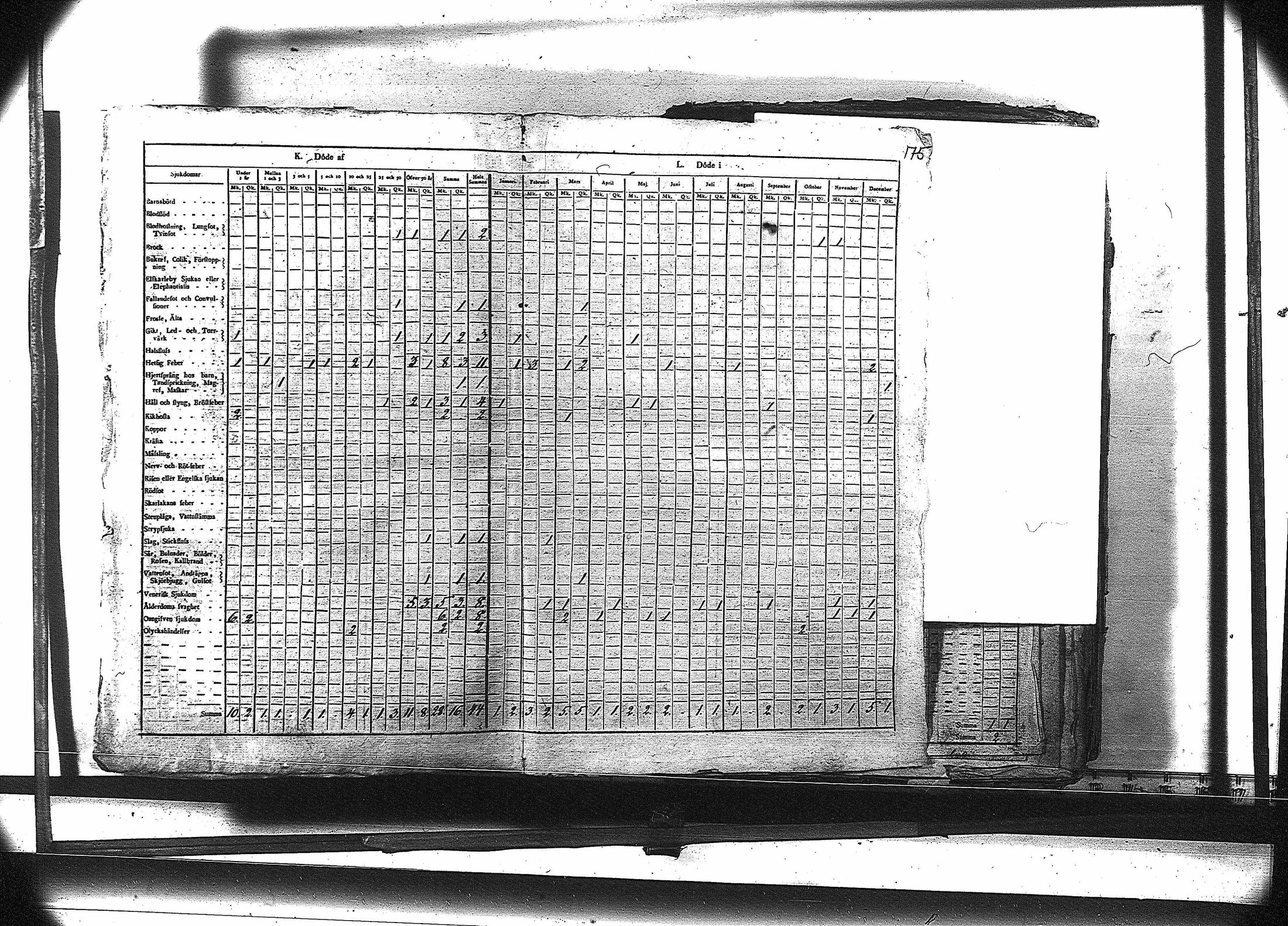 [ kuvat/188.jpg ]