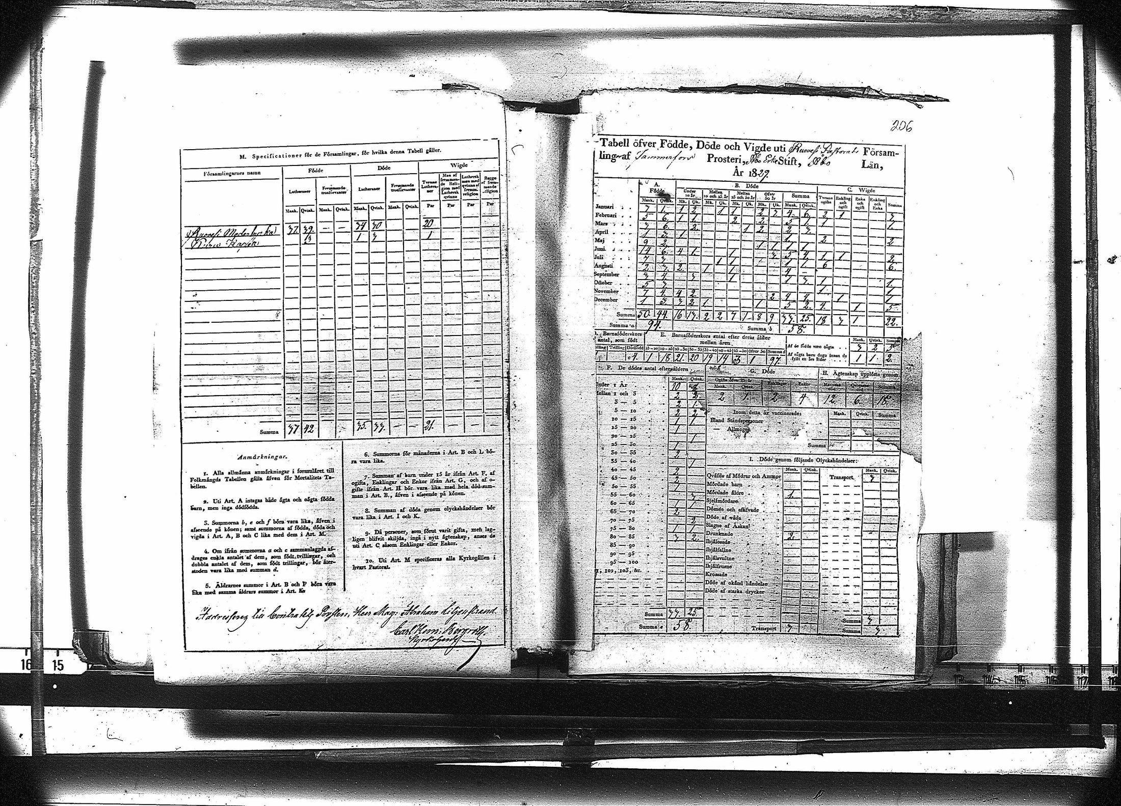 [ kuvat/219.jpg ]