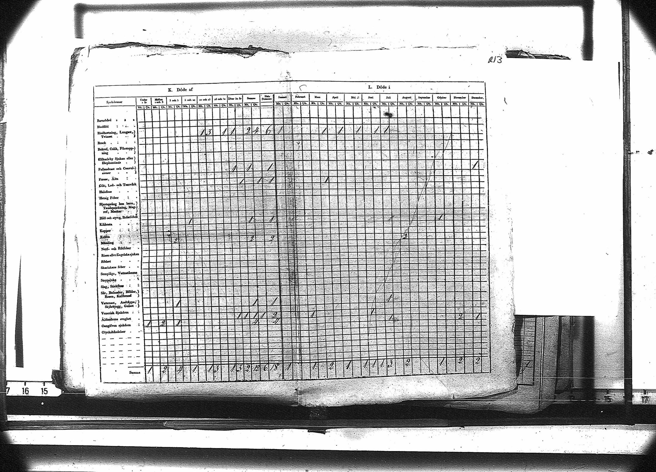 [ kuvat/226.jpg ]