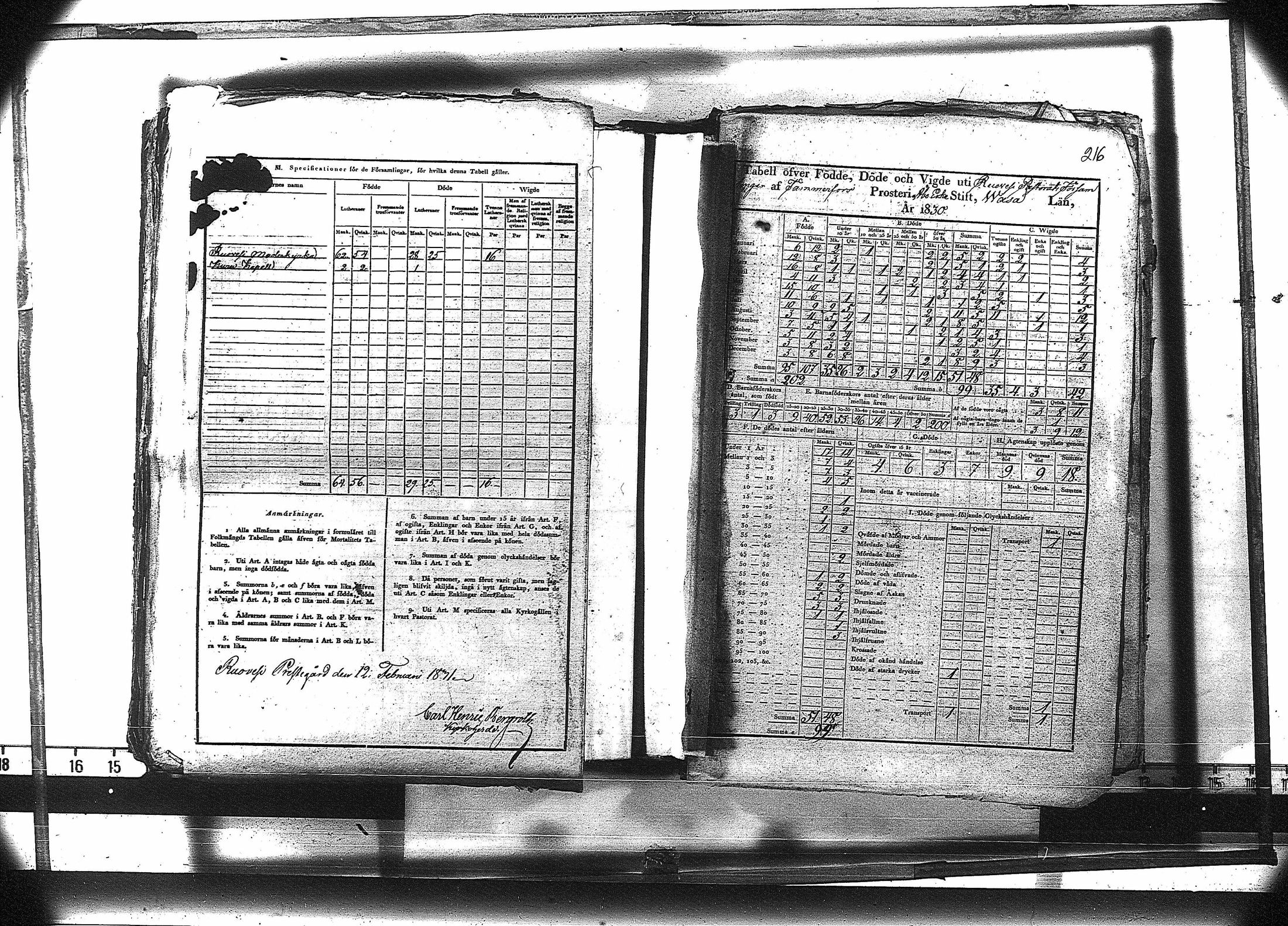[ kuvat/229.jpg ]