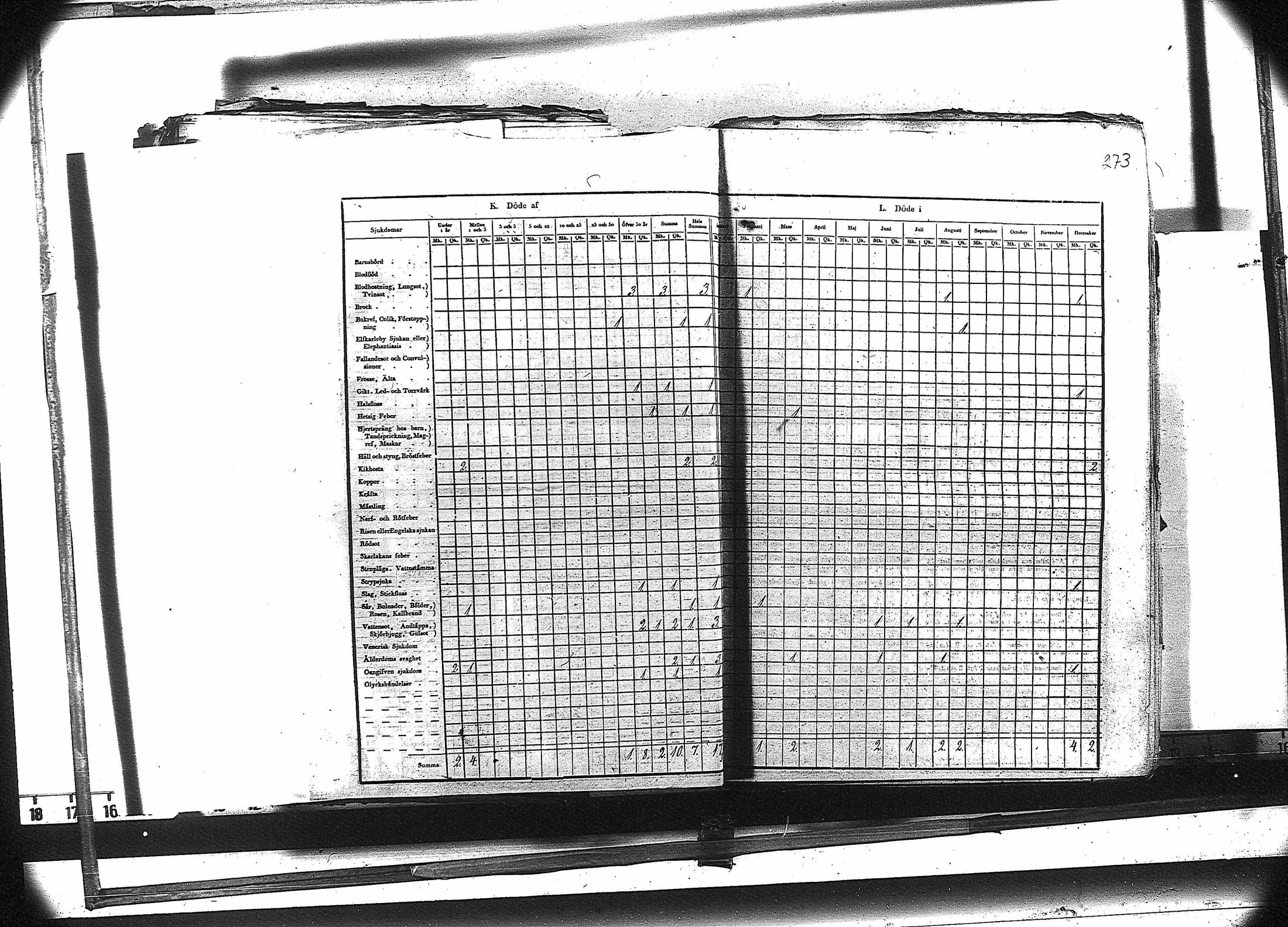 [ kuvat/286.jpg ]