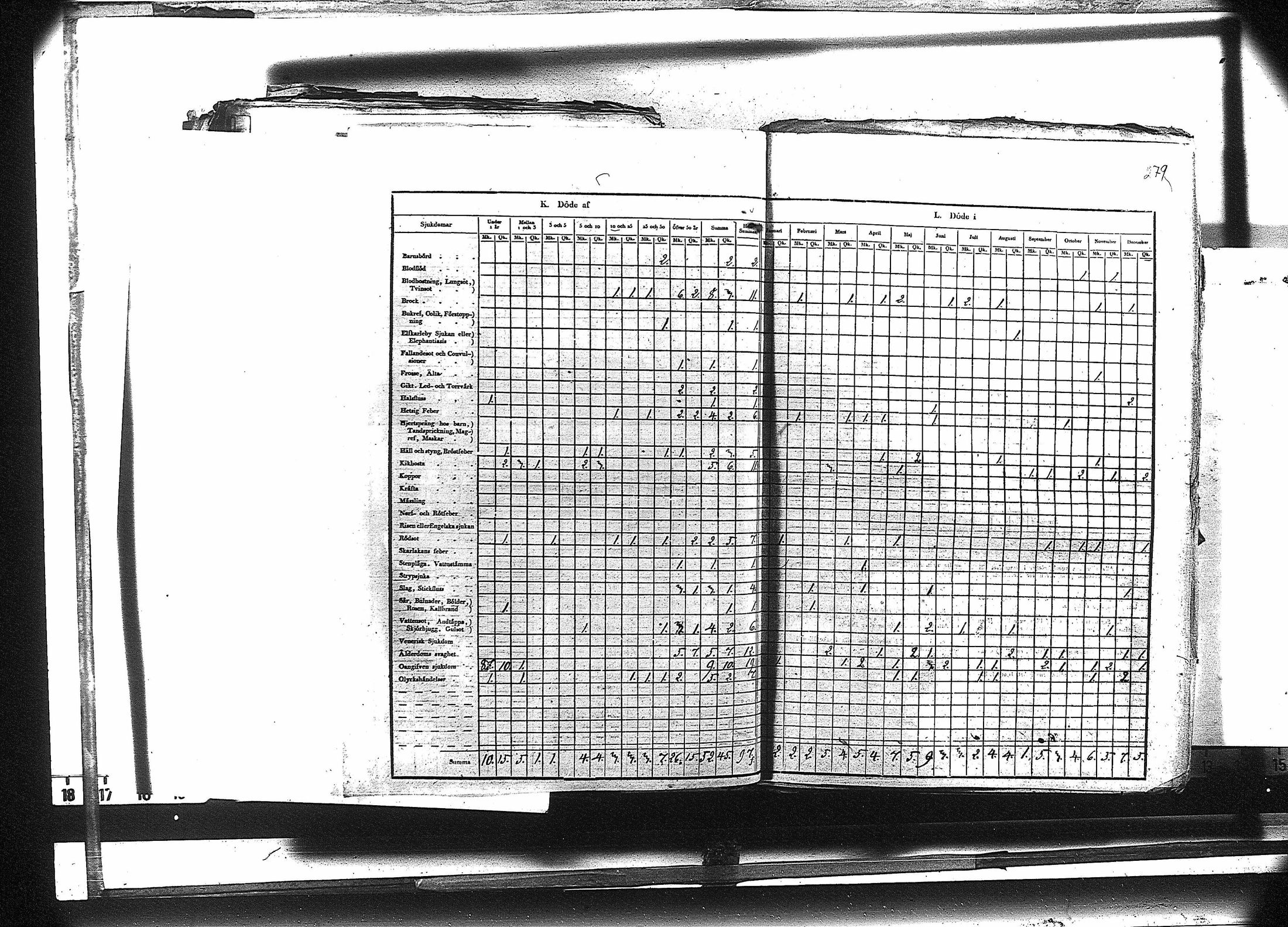 [ kuvat/292.jpg ]