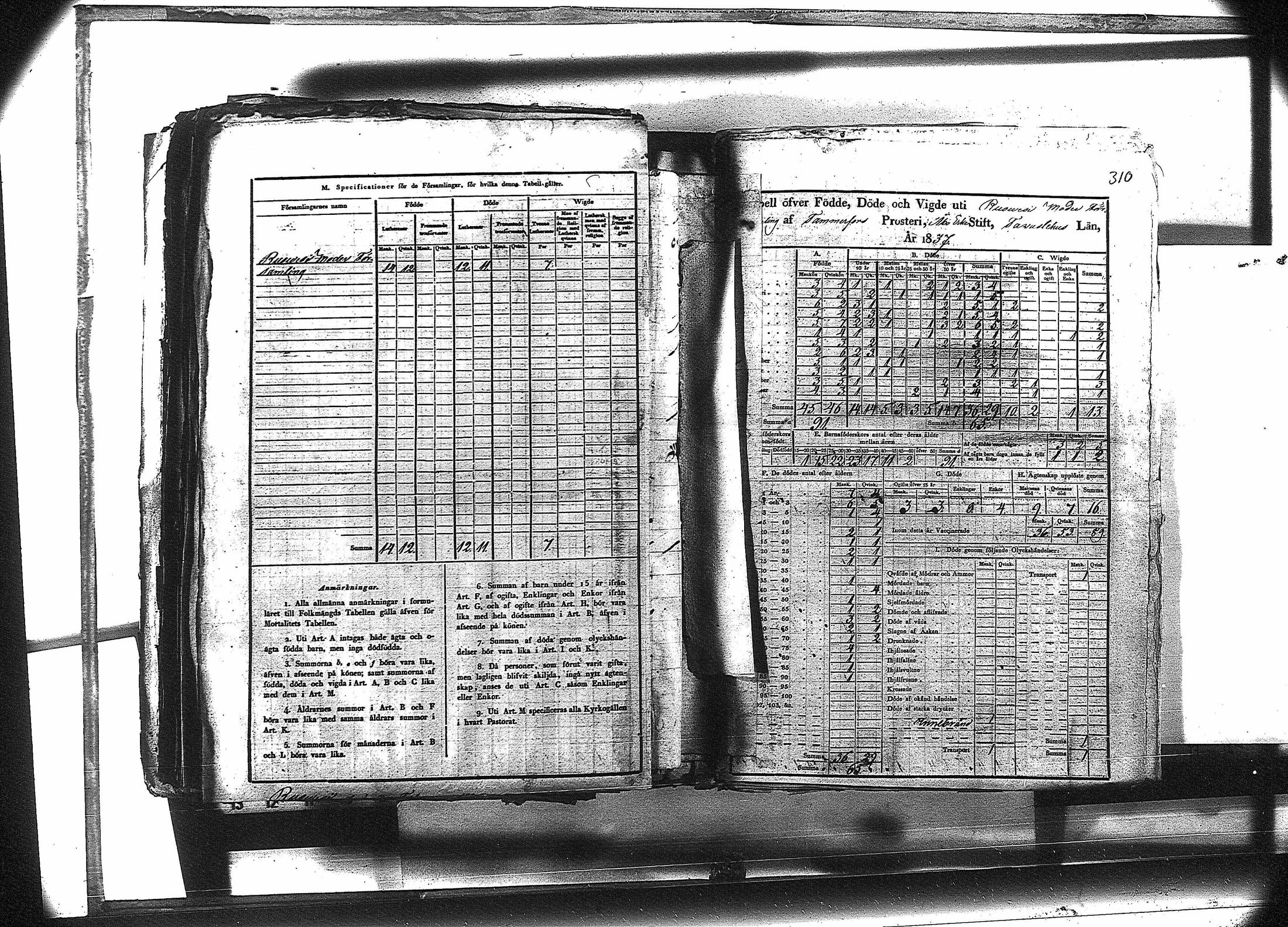 [ kuvat/323.jpg ]