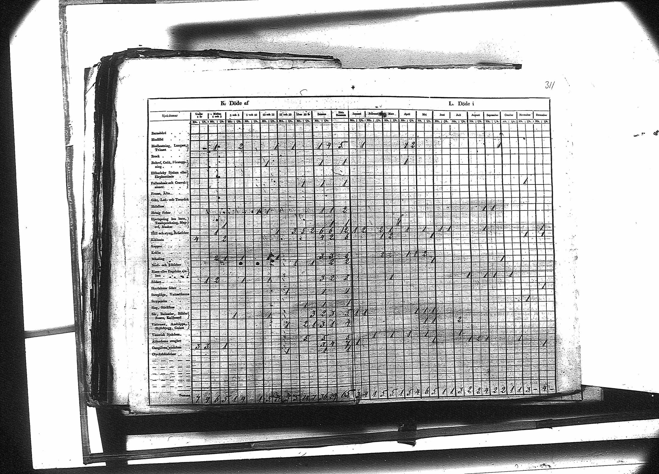 [ kuvat/324.jpg ]