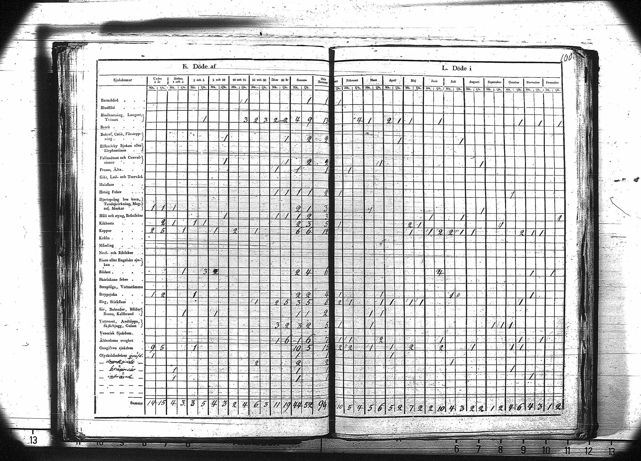 [ kuvat/113.jpg ]