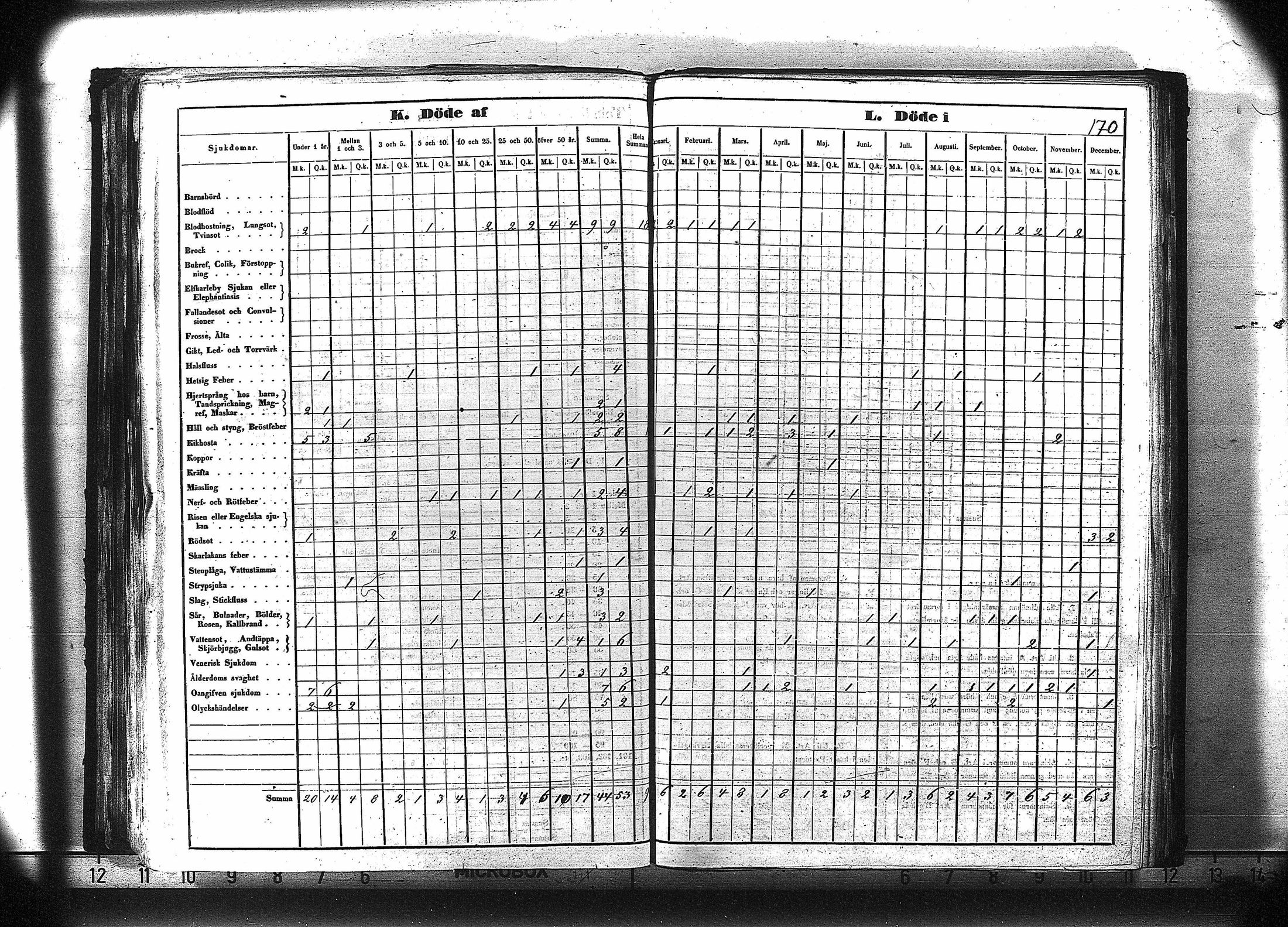 [ kuvat/183.jpg ]