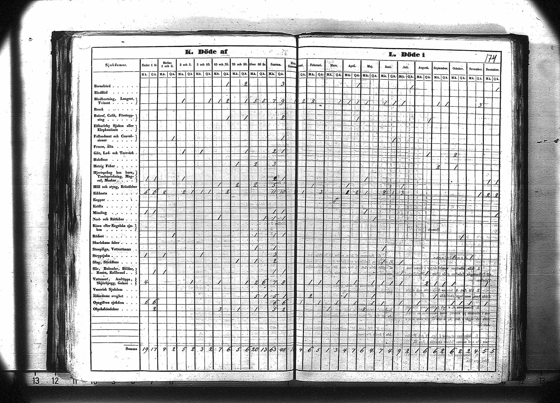 [ kuvat/187.jpg ]