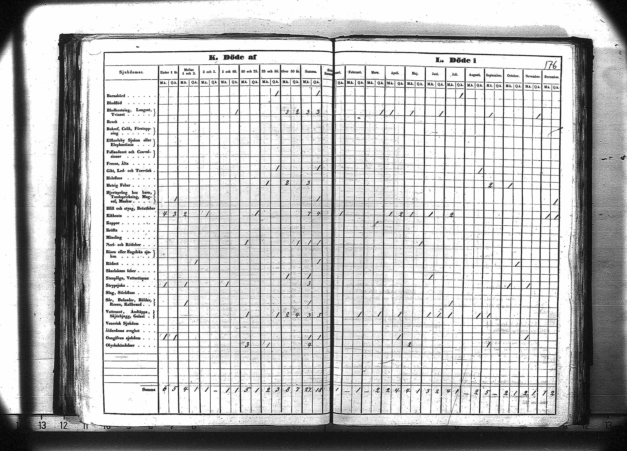 [ kuvat/189.jpg ]