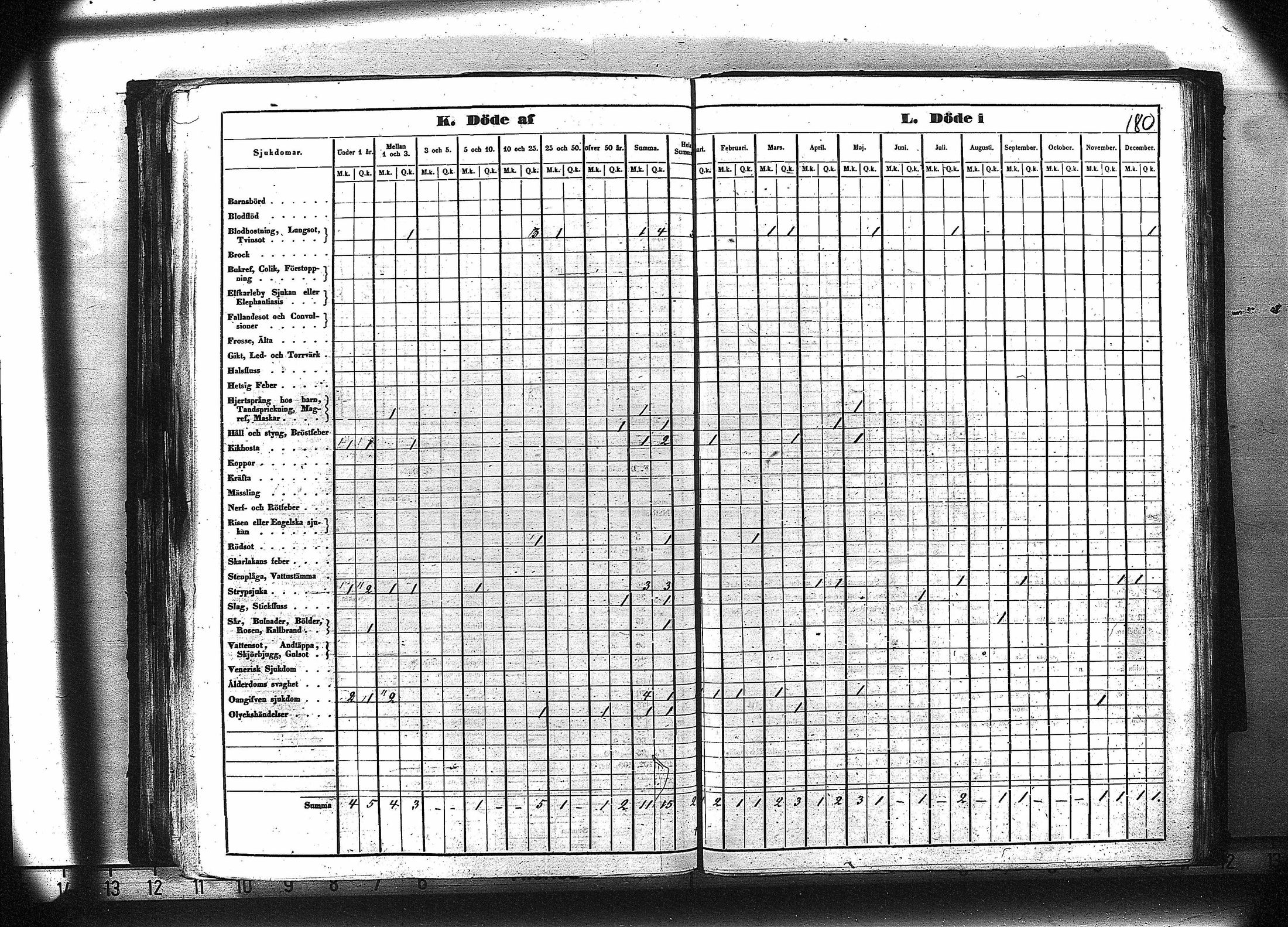 [ kuvat/193.jpg ]