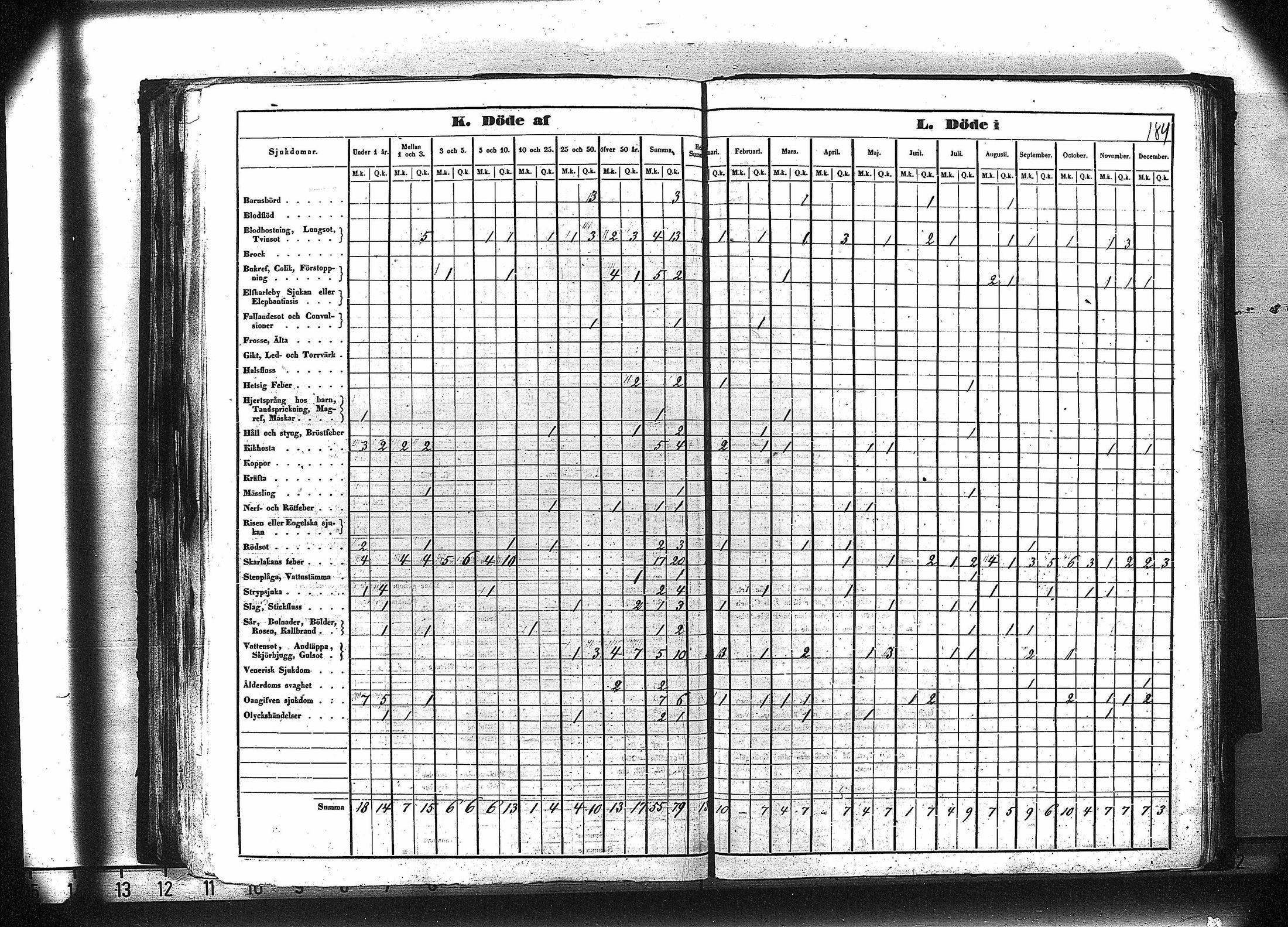 [ kuvat/197.jpg ]