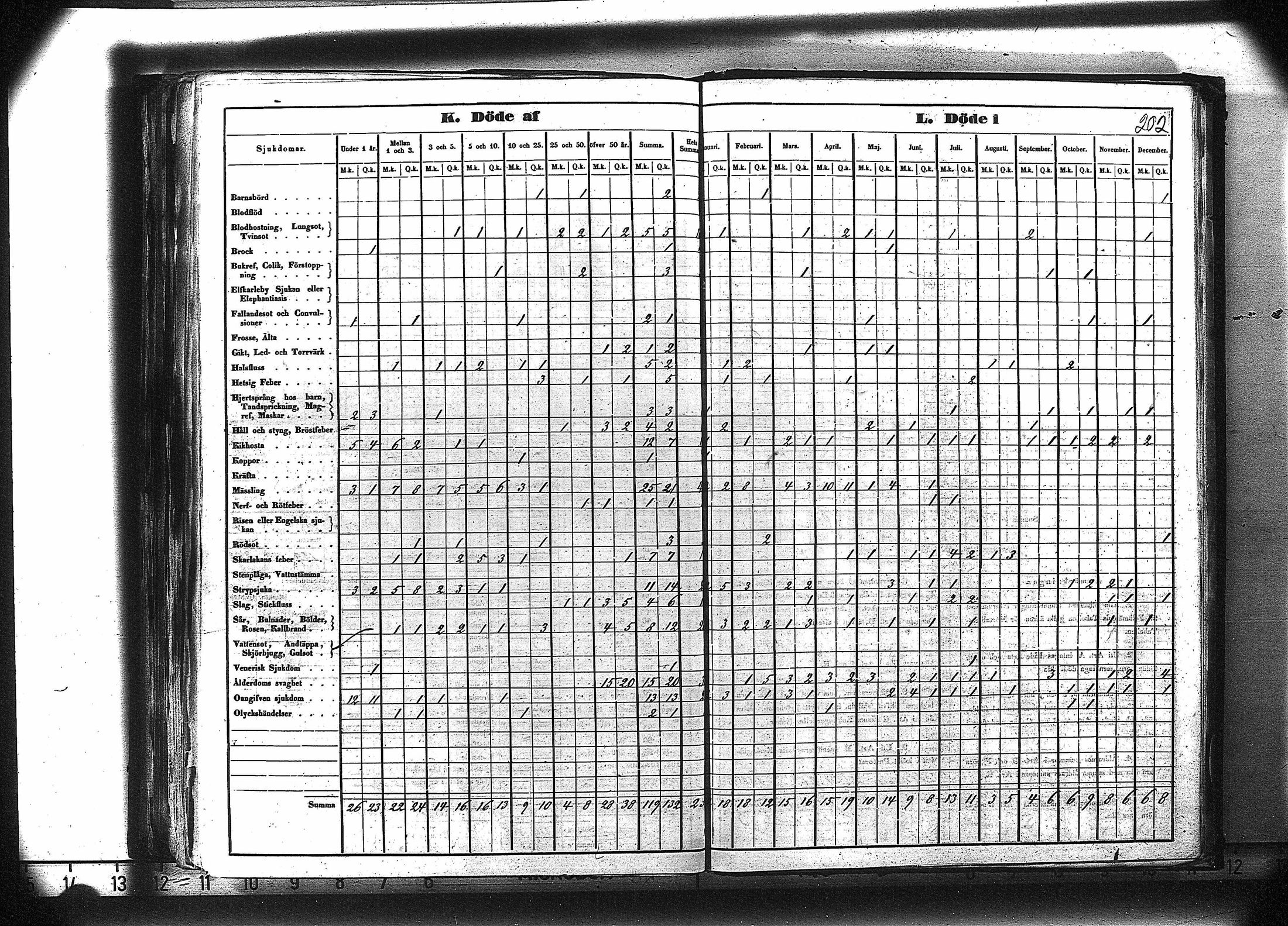 [ kuvat/215.jpg ]