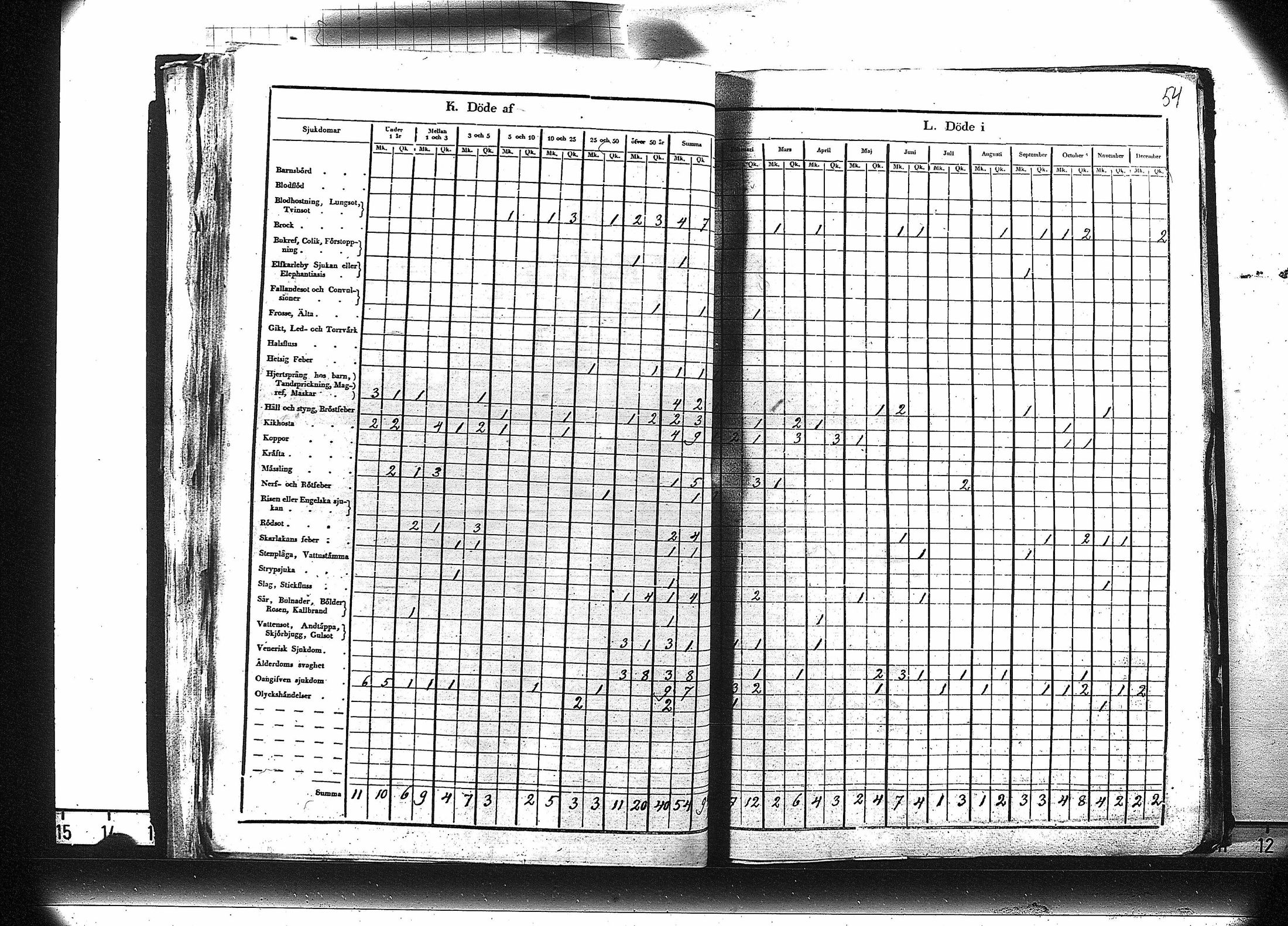 [ kuvat/55.jpg ]
