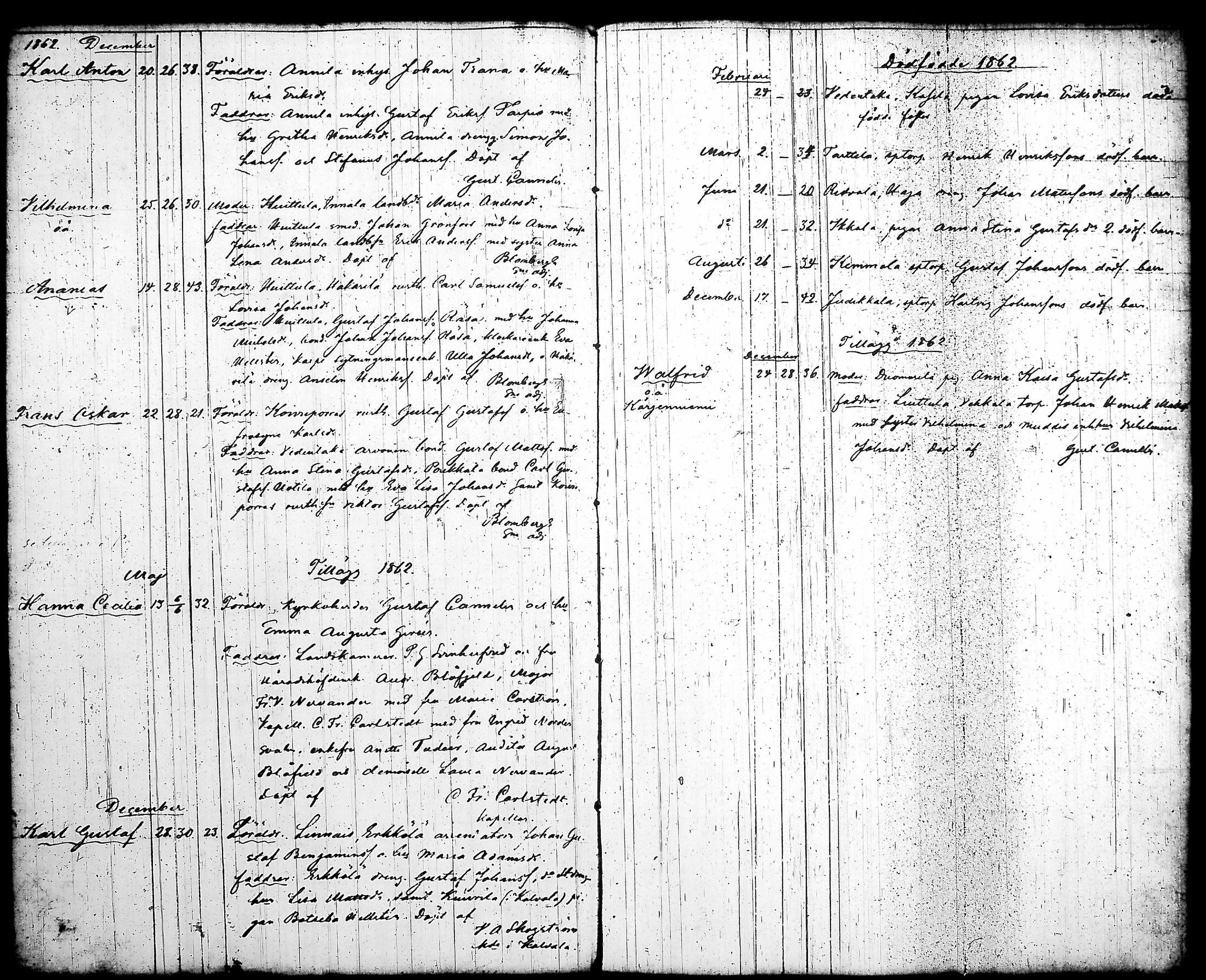 [ kuvat/175.jpg ]