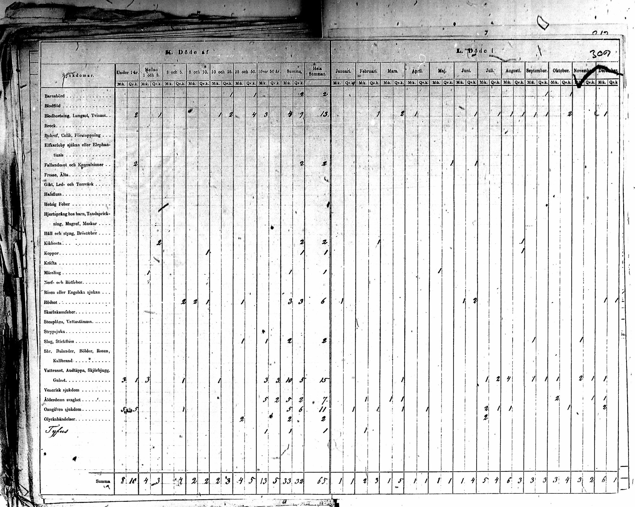 [ kuvat/312.jpg ]