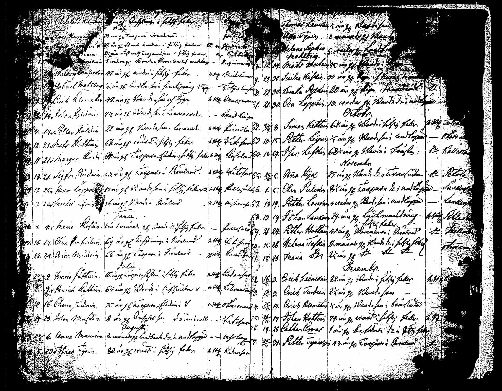 [ kuvat/278.jpg ]