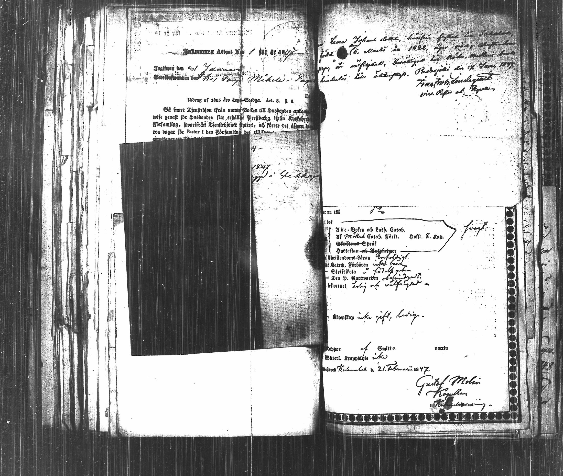 [ kuvat/251.jpg ]