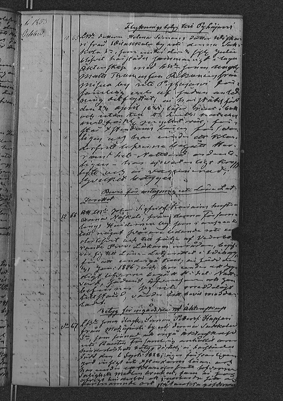 [ kuvat/283.jpg ]