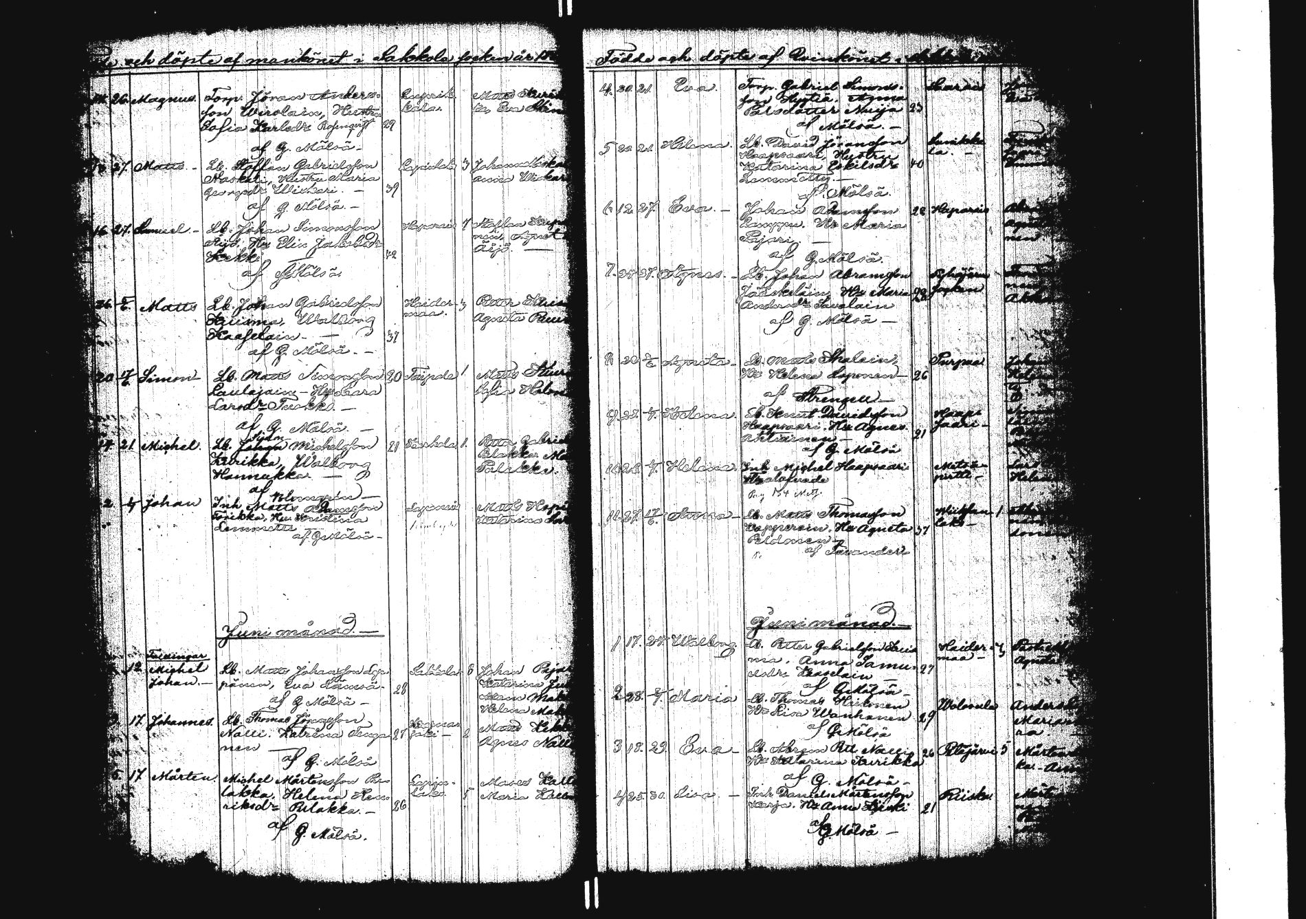 [ kuvat/182.jpg ]