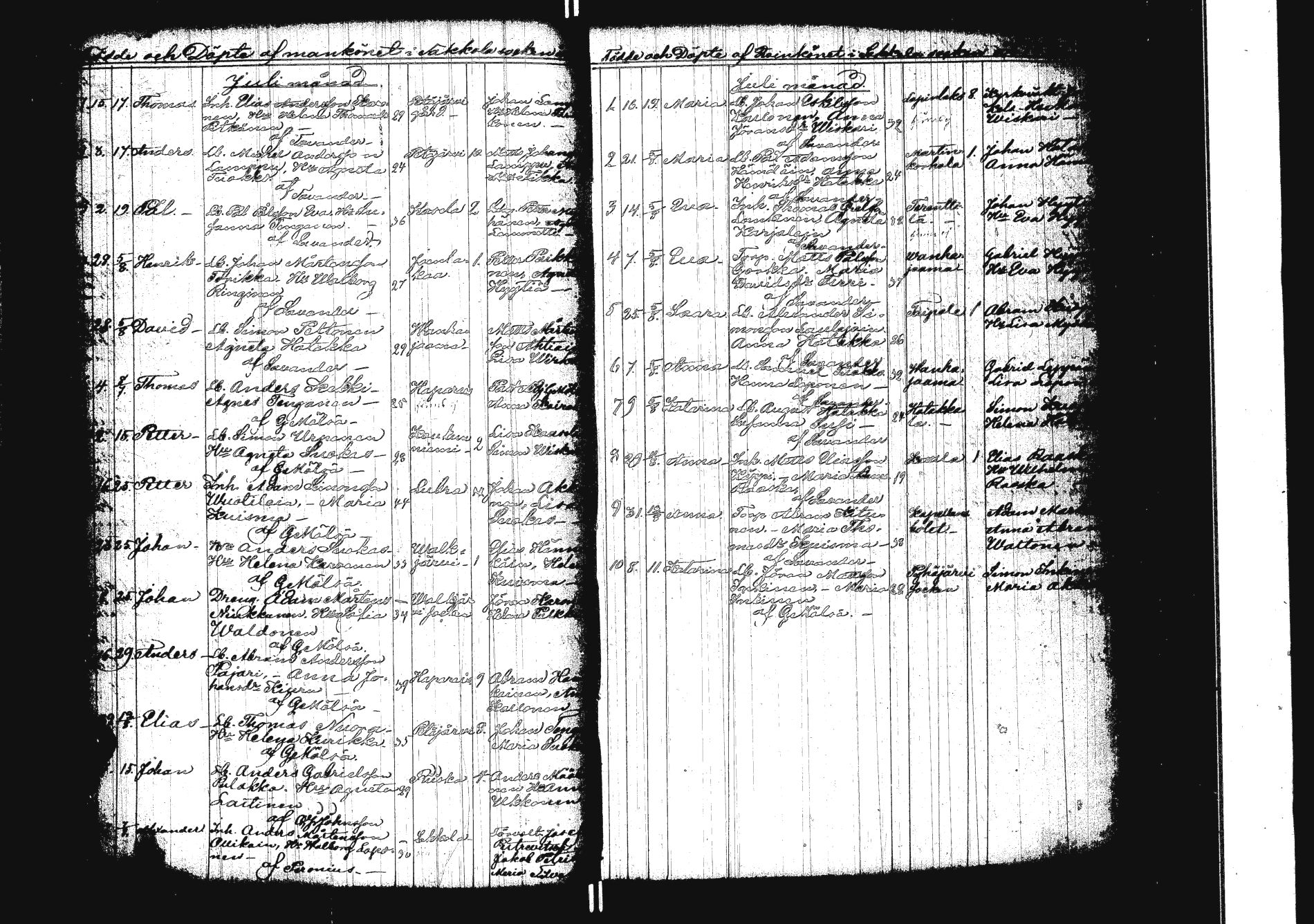 [ kuvat/184.jpg ]