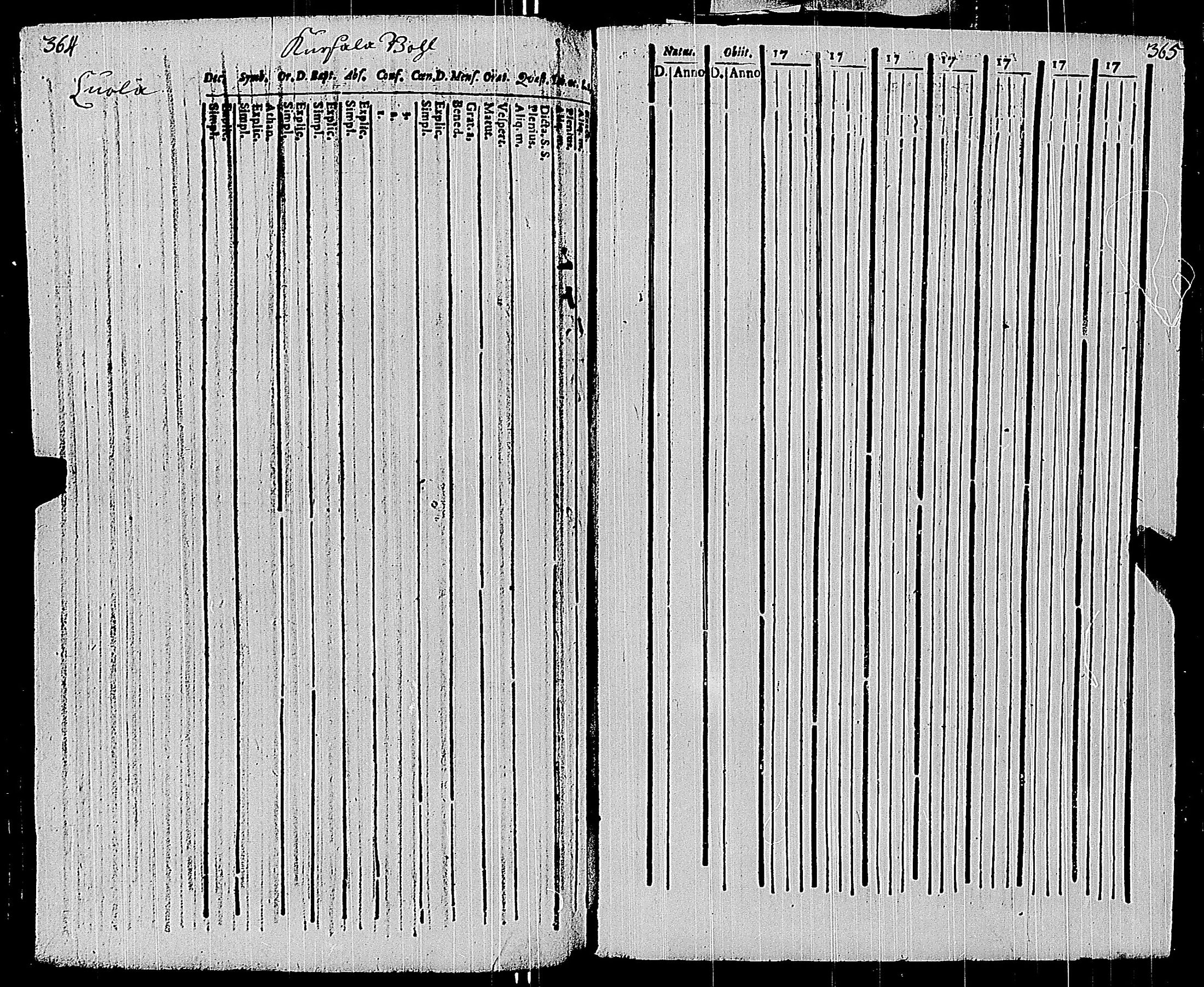 [ kuvat/323.jpg ]
