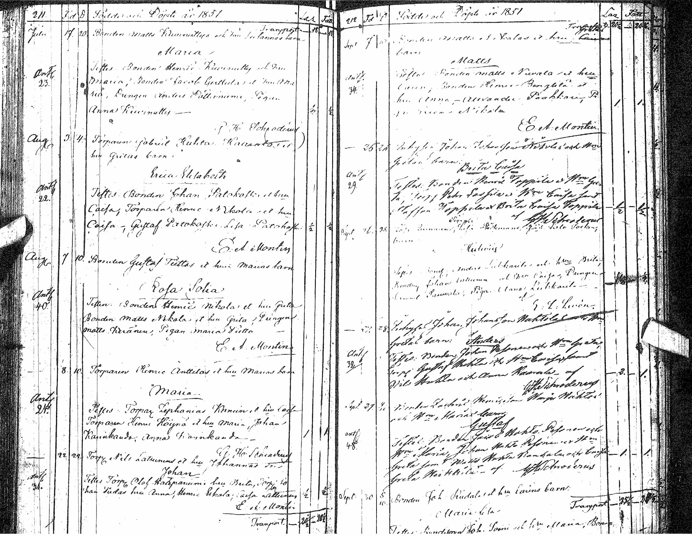 [ kuvat/219.jpg ]