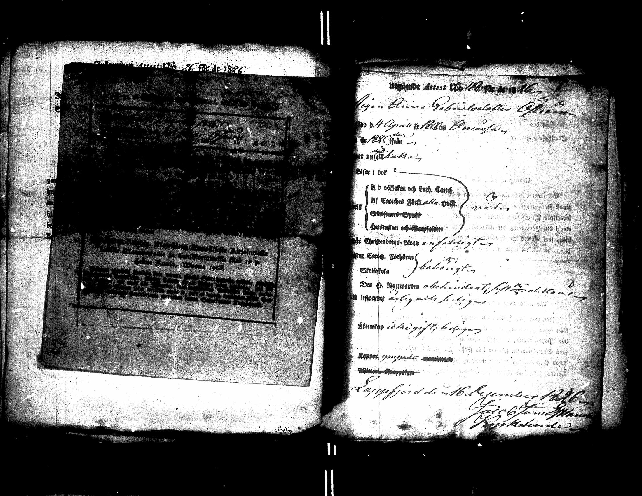 [ kuvat/164.jpg ]